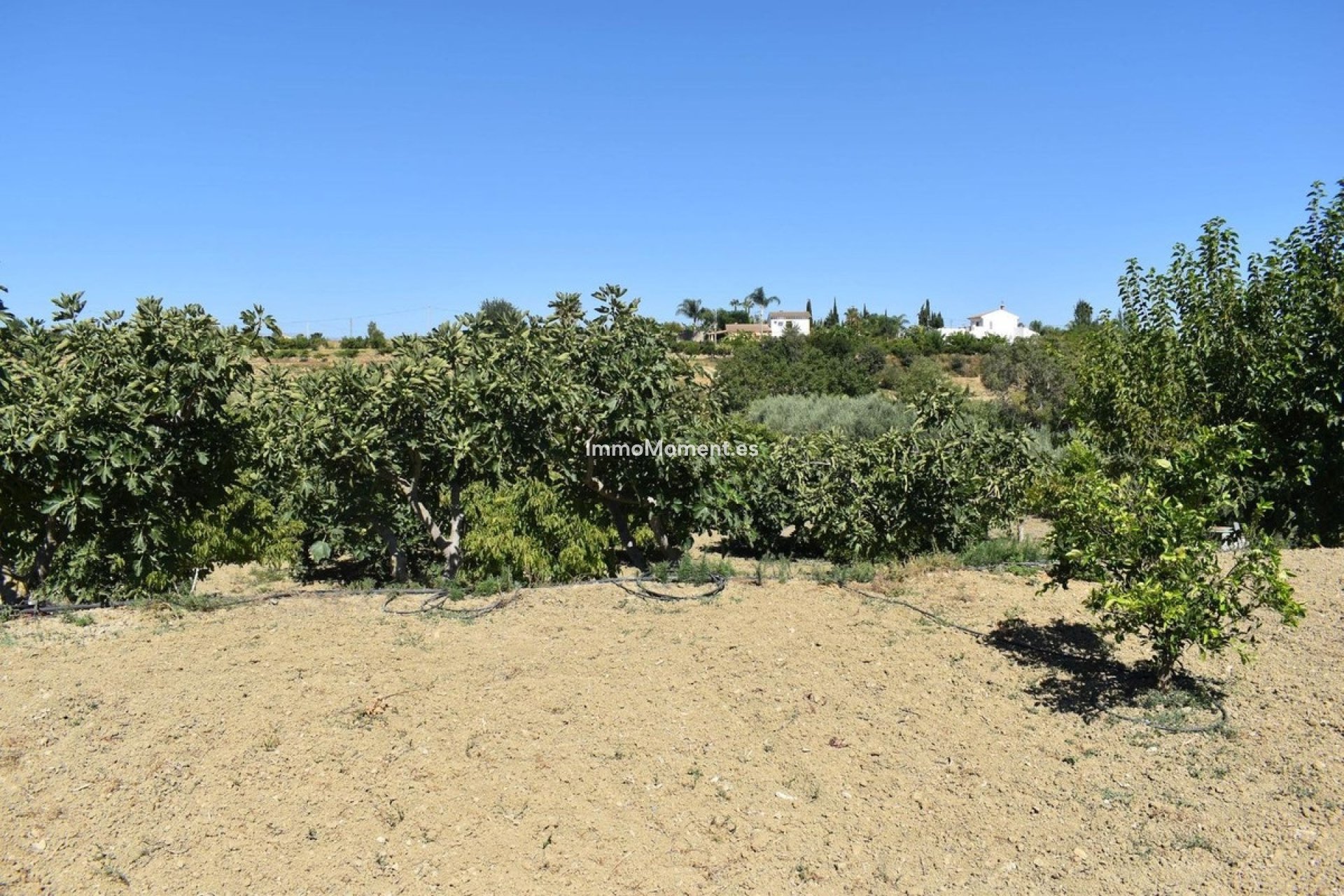 Revente - Maison de campagne - Intérieur                       - Alhaurín el Grande Centro