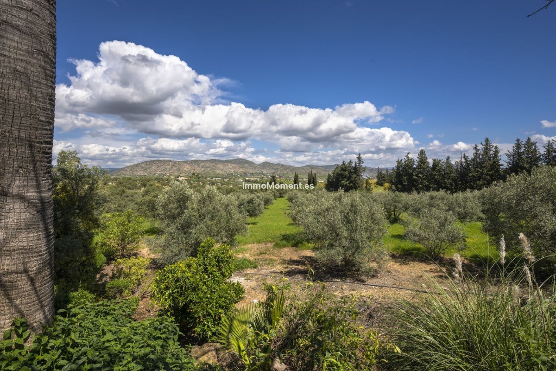 Revente - Maison de campagne - Intérieur                       - Alhaurín el Grande Centro