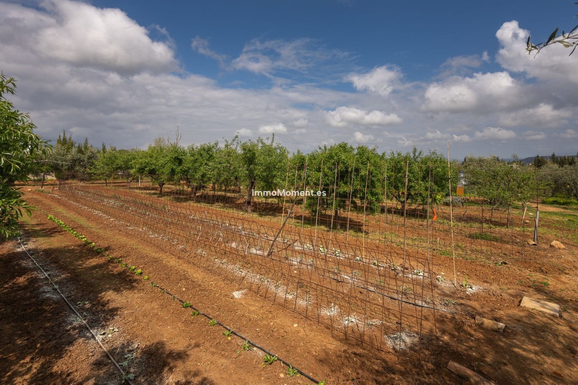 Revente - Maison de campagne - Intérieur                       - Alhaurín el Grande Centro