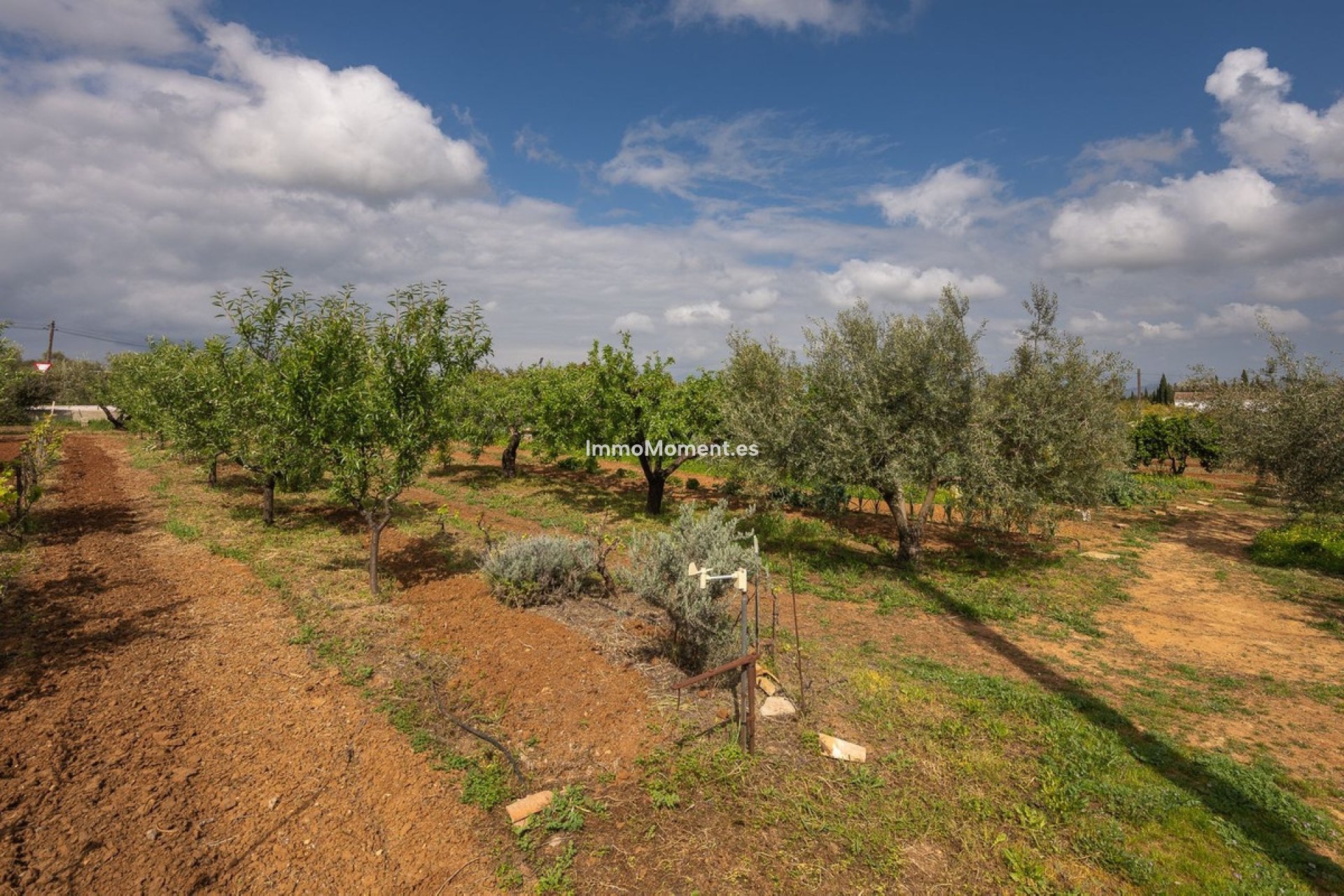 Revente - Maison de campagne - Intérieur                       - Alhaurín el Grande Centro