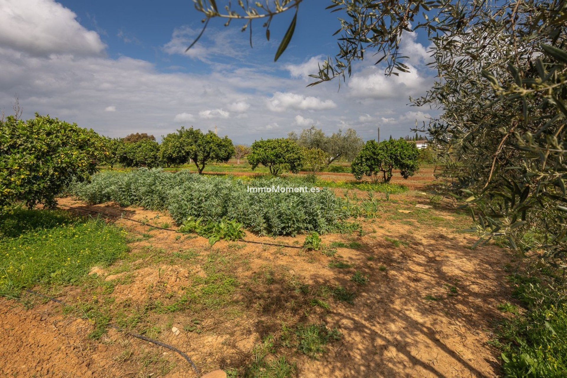 Revente - Maison de campagne - Intérieur                       - Alhaurín el Grande Centro