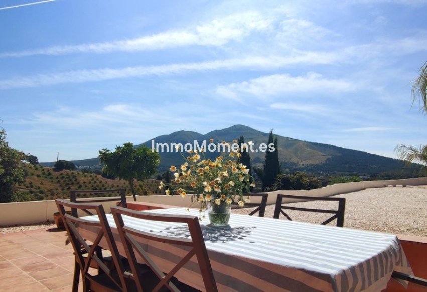 Revente - Maison de campagne - Intérieur                       - Alhaurín el Grande Centro