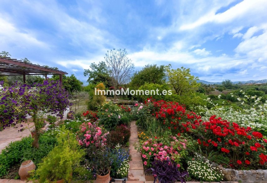 Revente - Maison de campagne - Intérieur                       - Alhaurín el Grande Centro