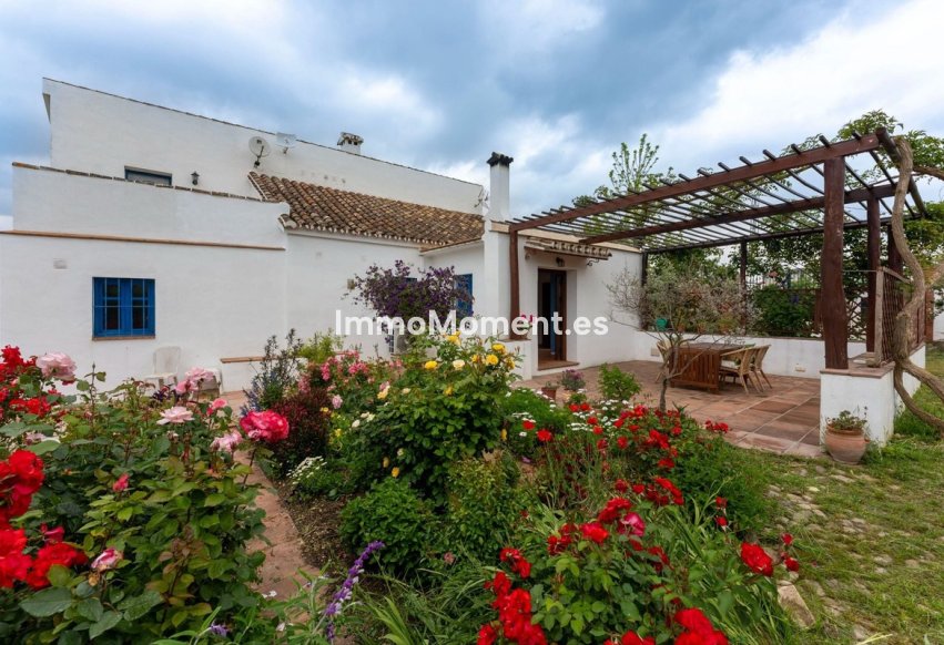 Revente - Maison de campagne - Intérieur                       - Alhaurín el Grande Centro