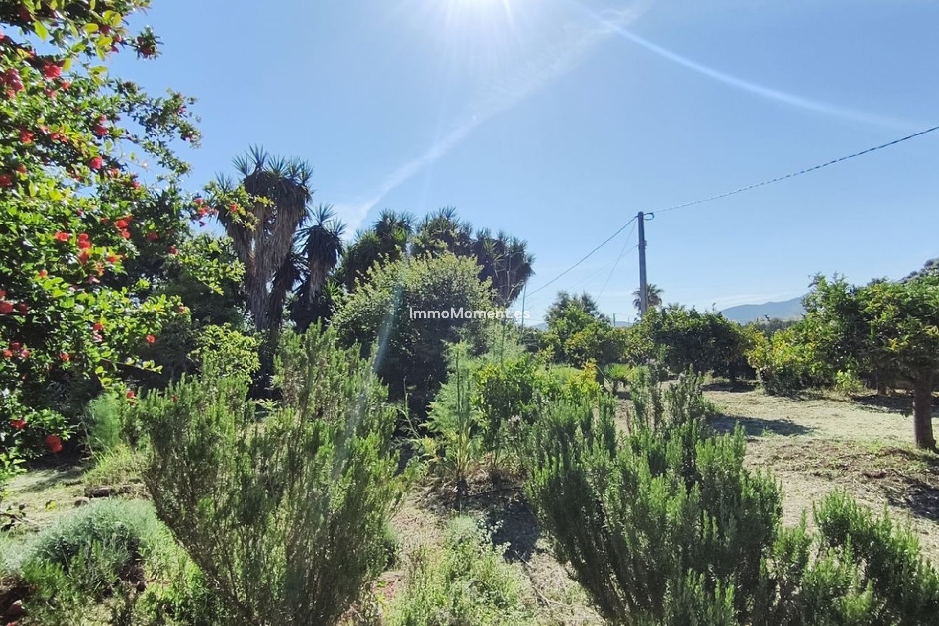 Revente - Maison de campagne - Intérieur                       - Alhaurín el Grande Centro