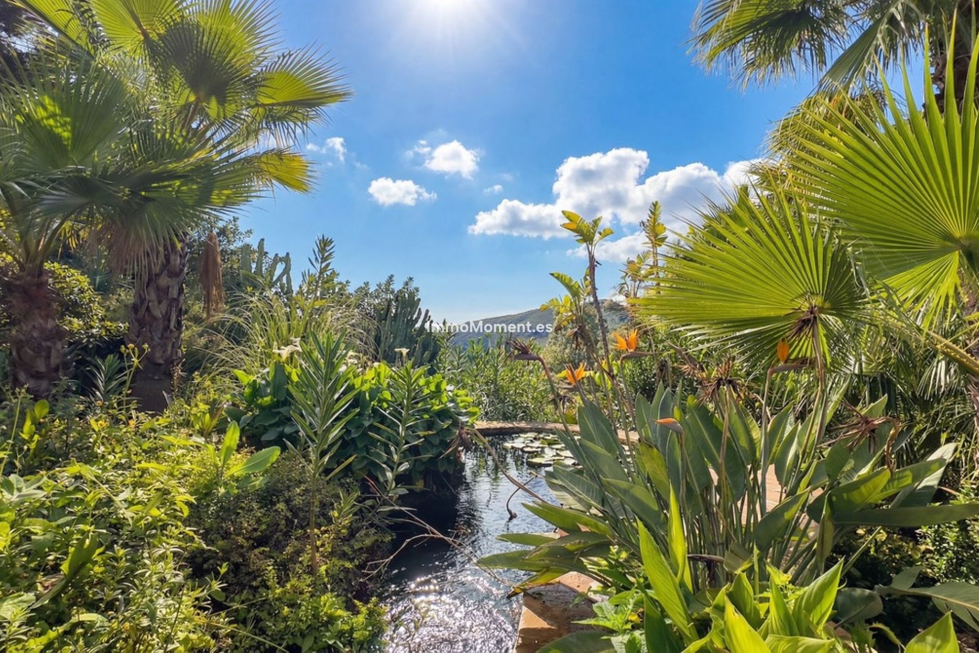 Revente - Maison de campagne - Intérieur                       - Alhaurín el Grande Centro