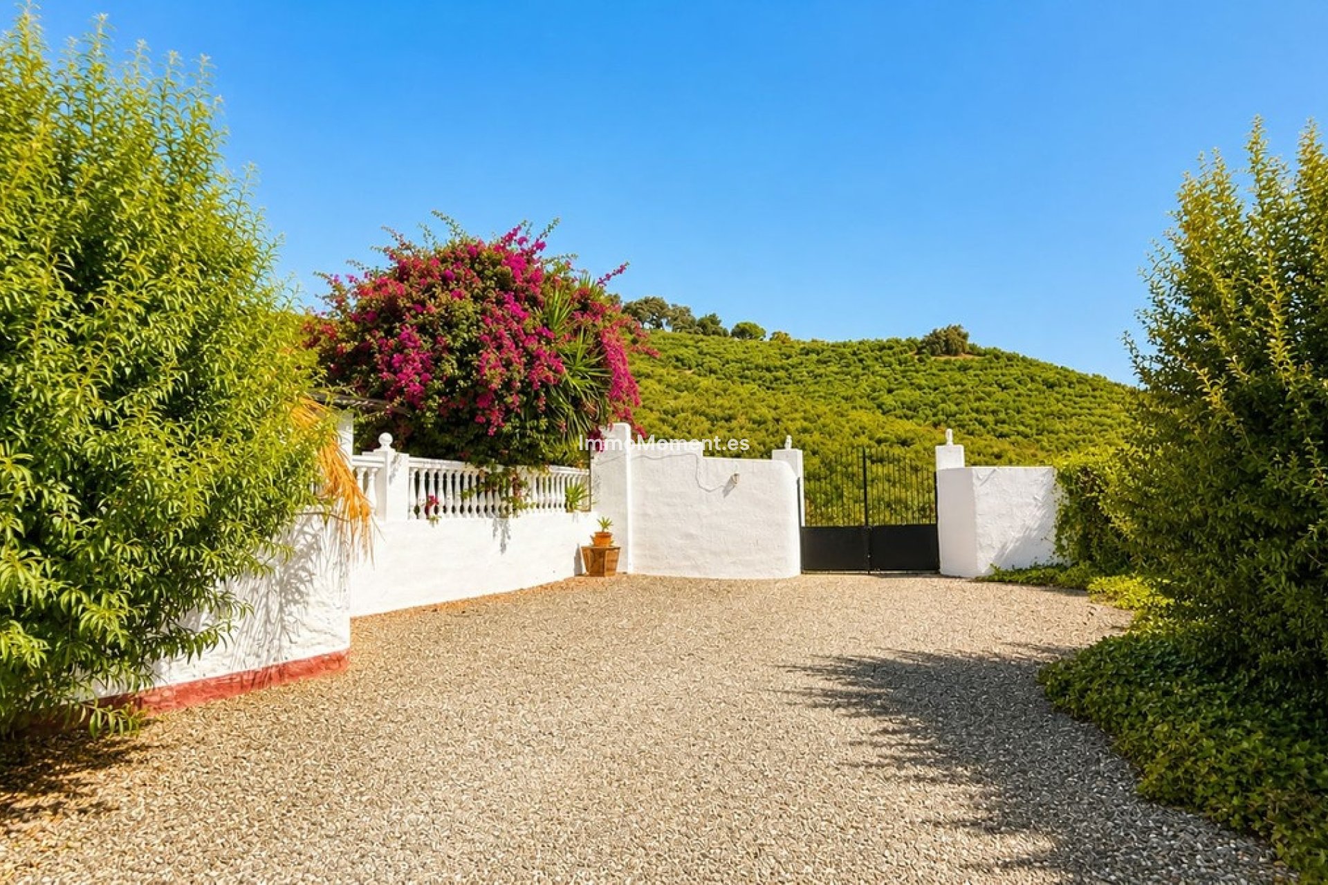 Revente - Maison de campagne - Intérieur                       - Alhaurín el Grande Centro