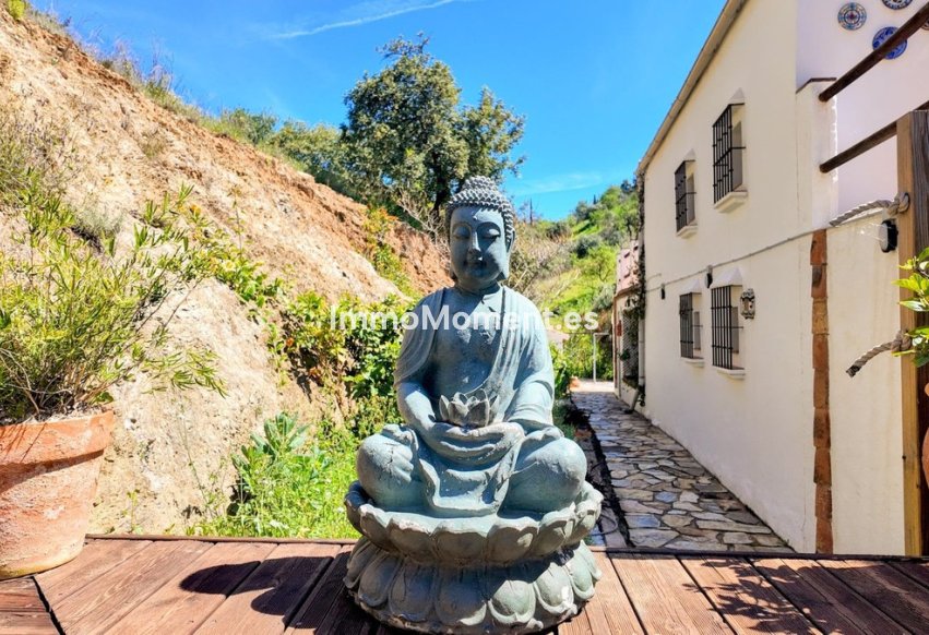 Revente - Maison de campagne - Intérieur                       - Almogía