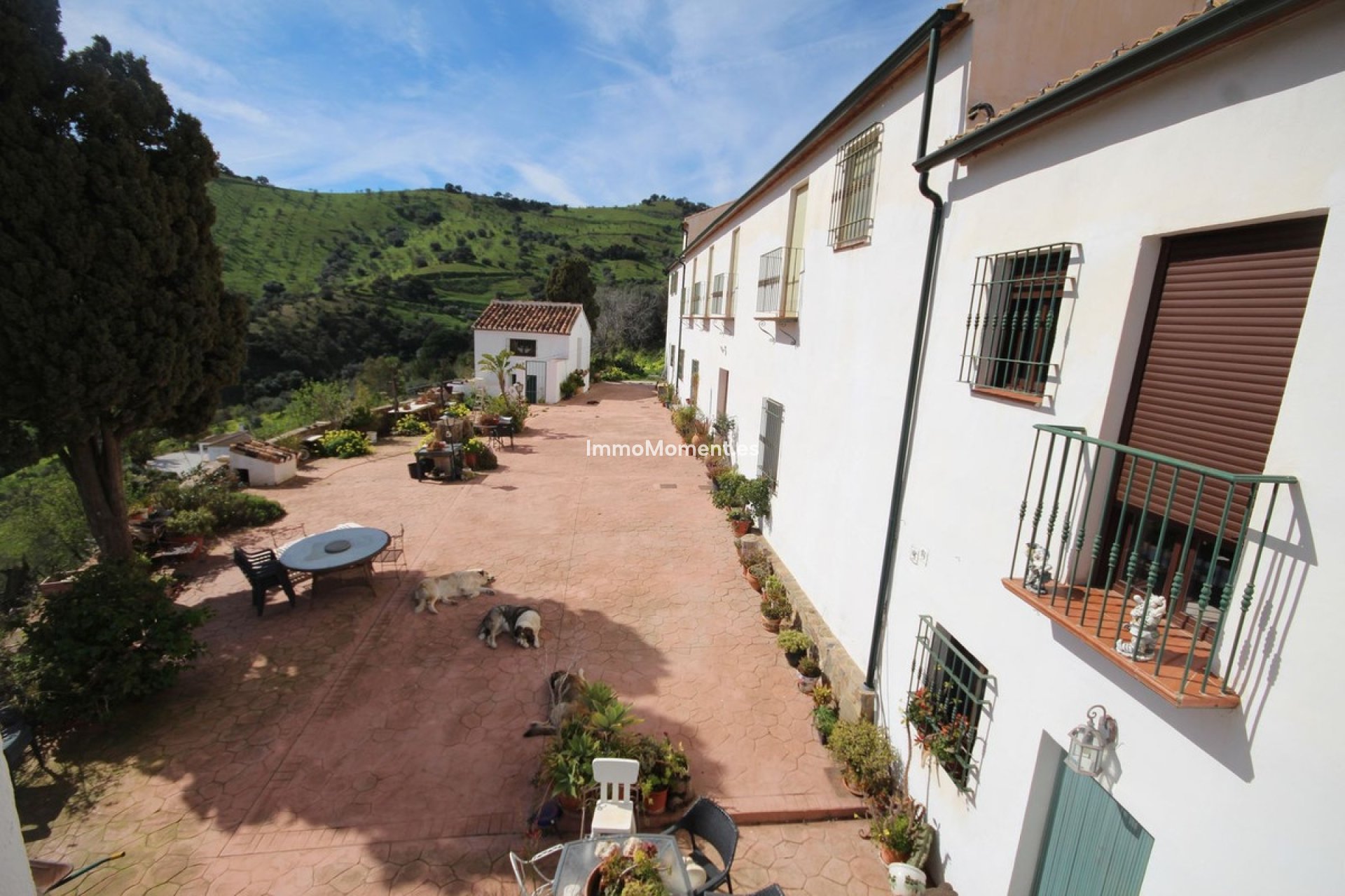 Revente - Maison de campagne - Intérieur                       - Almogía