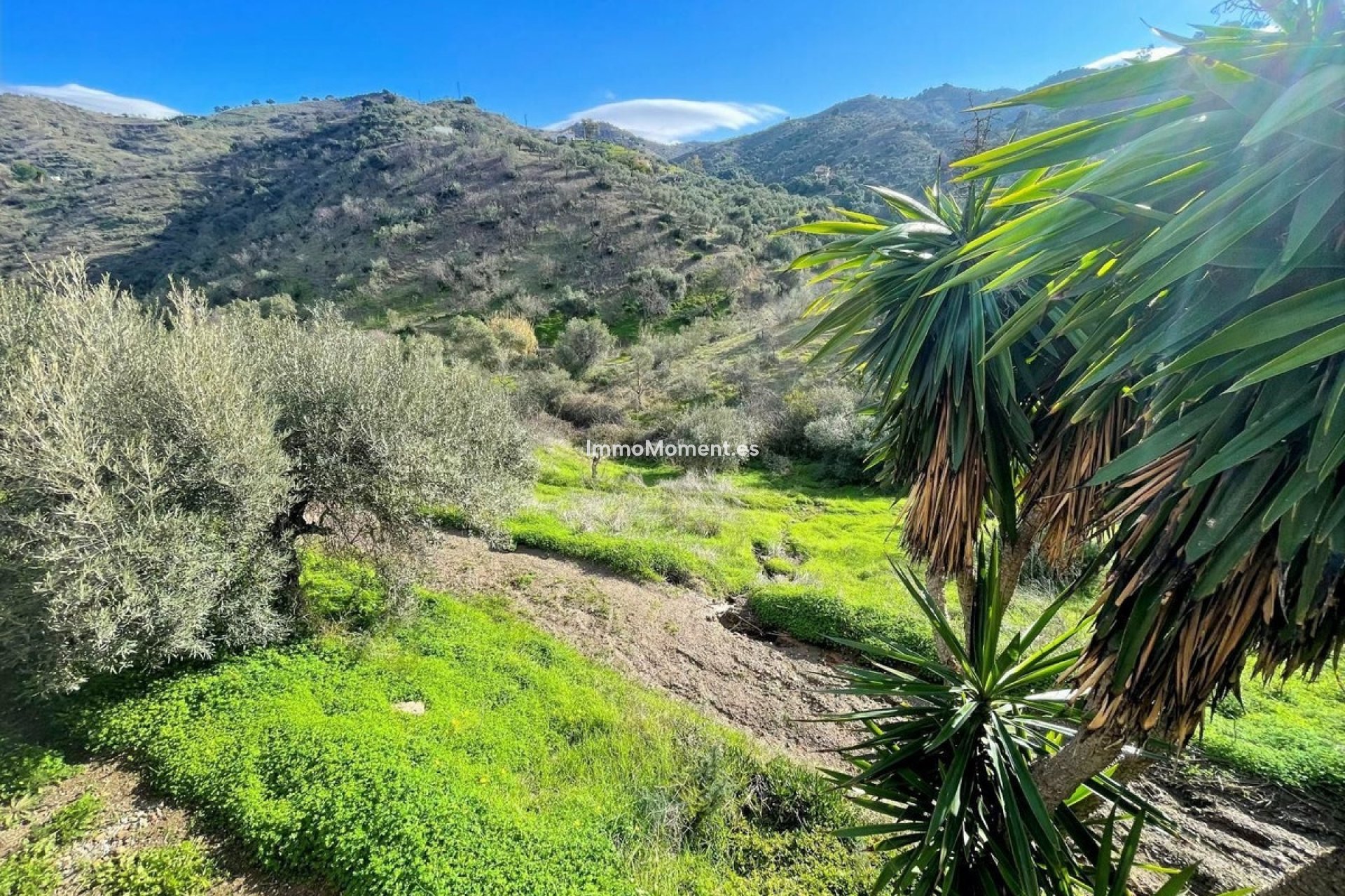 Revente - Maison de campagne - Intérieur                       - Alora