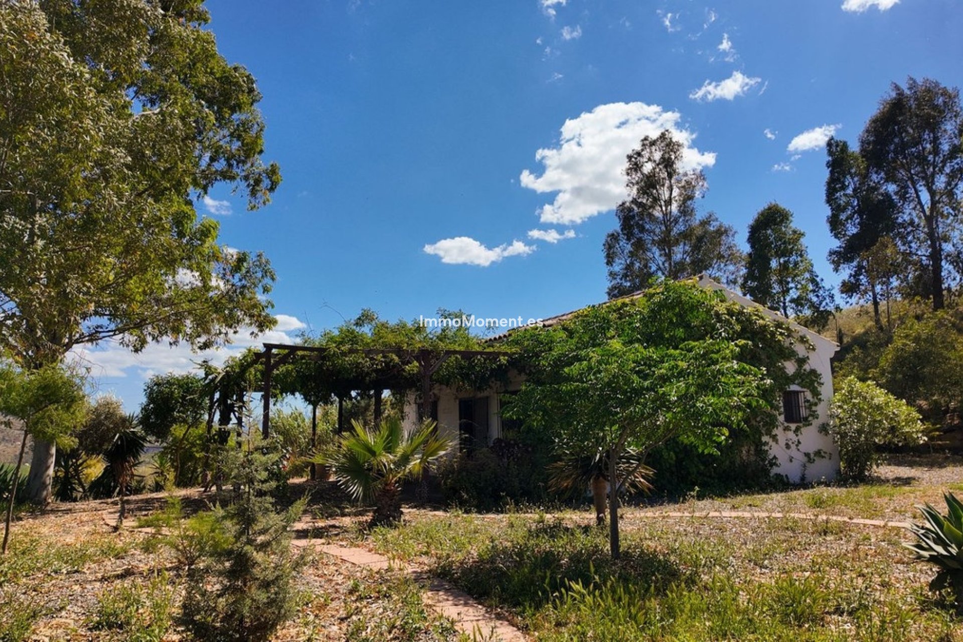 Revente - Maison de campagne - Intérieur                       - Alora