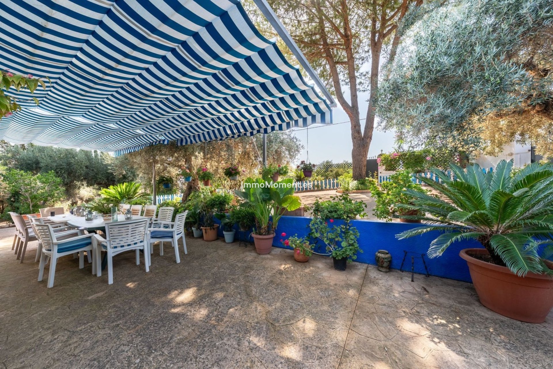 Revente - Maison de campagne - Intérieur                       - Coín