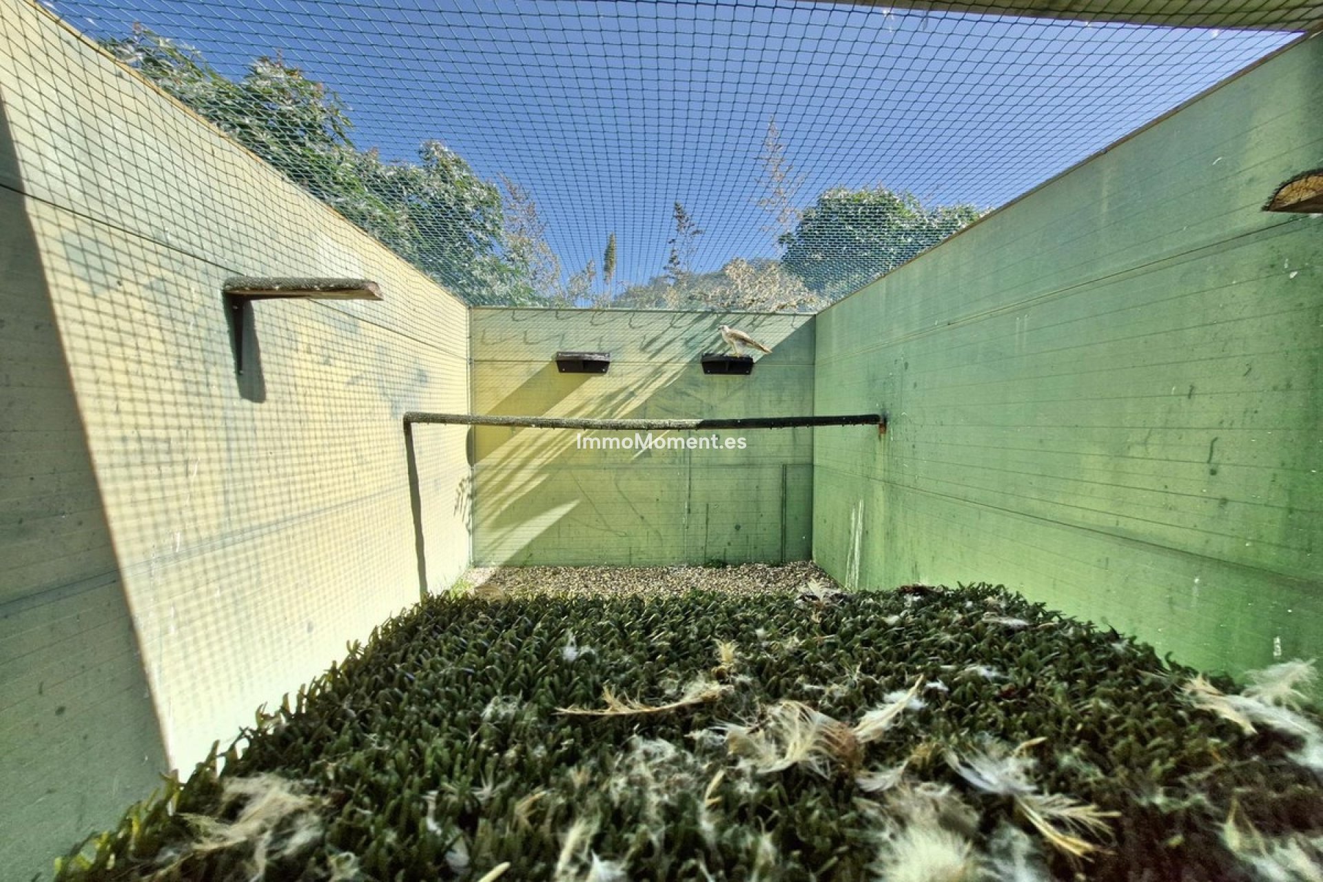 Revente - Maison de campagne - Intérieur                       - Coín