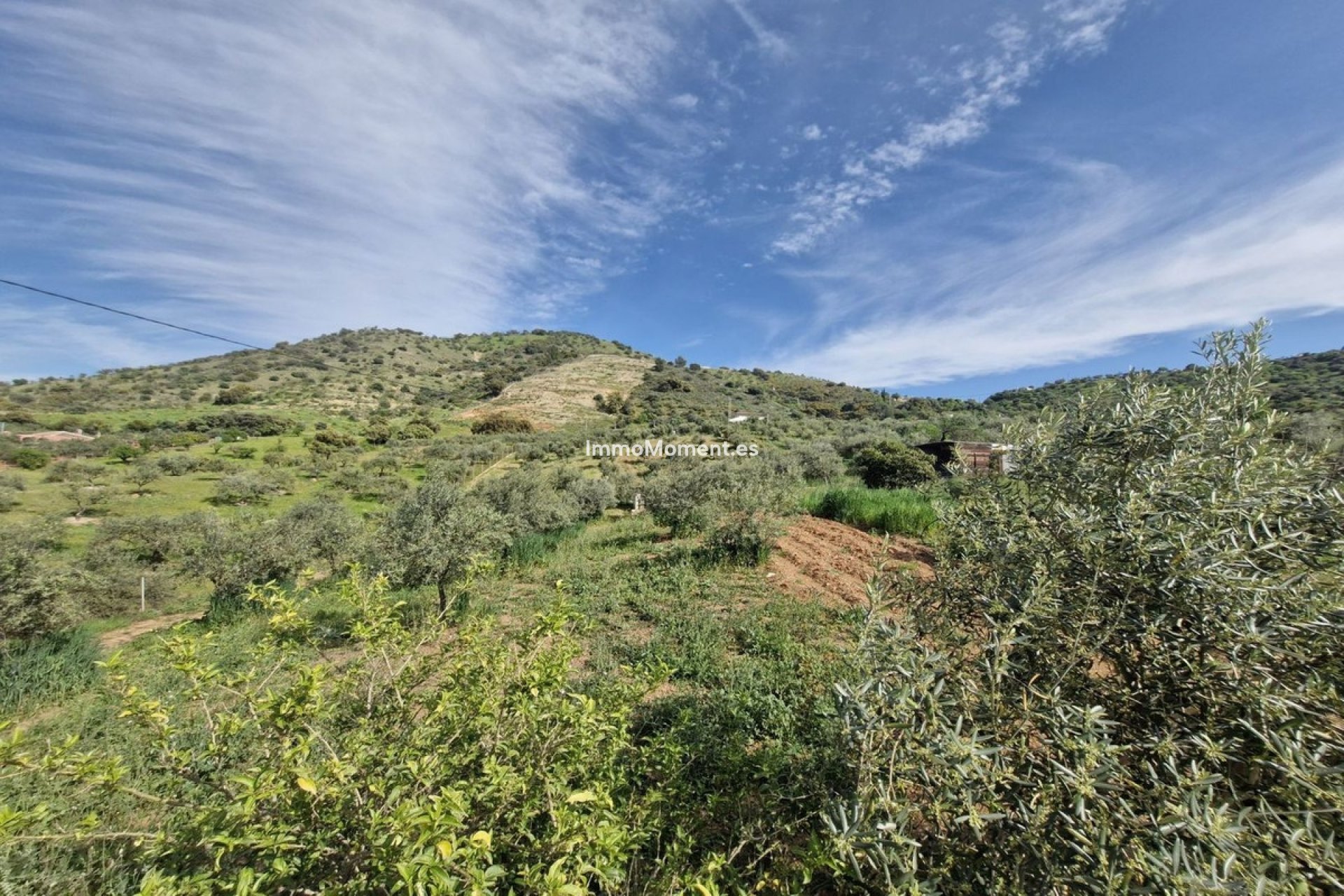 Revente - Maison de campagne - Intérieur                       - Coín