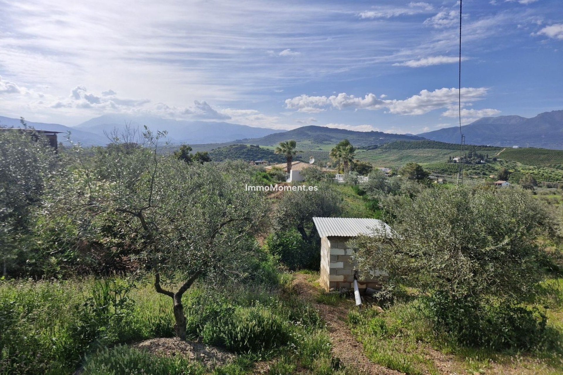 Revente - Maison de campagne - Intérieur                       - Coín