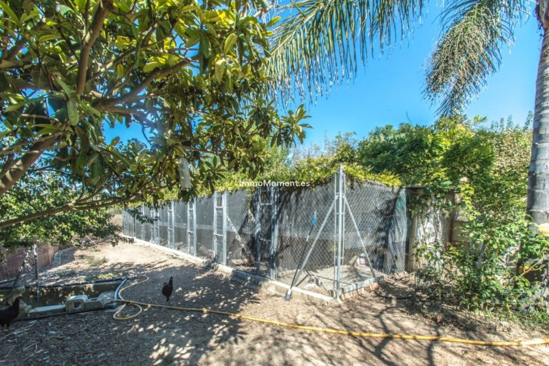 Revente - Maison de campagne - Intérieur                       - Coín