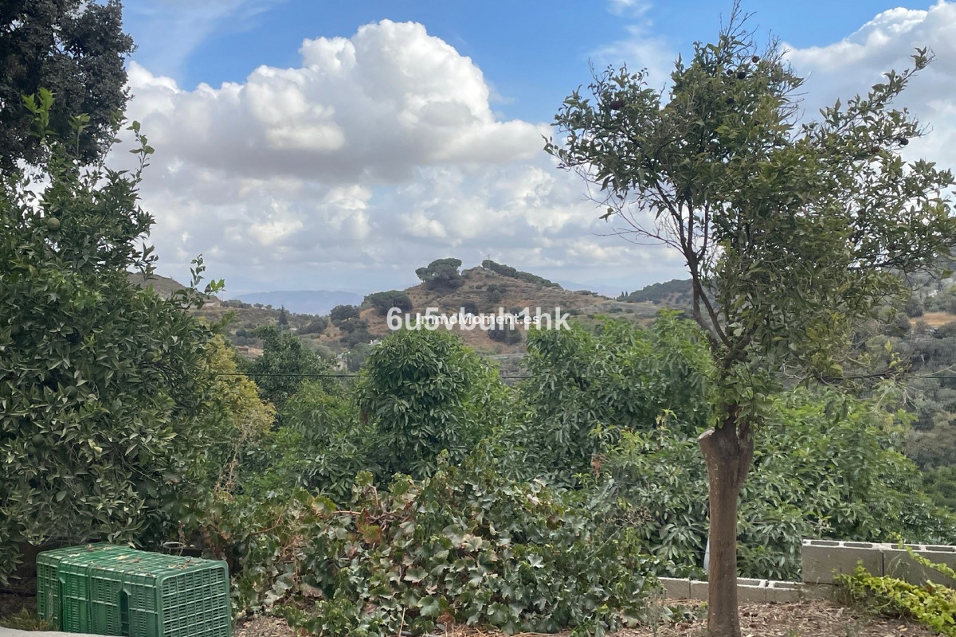 Revente - Maison de campagne - Intérieur                       - Coín