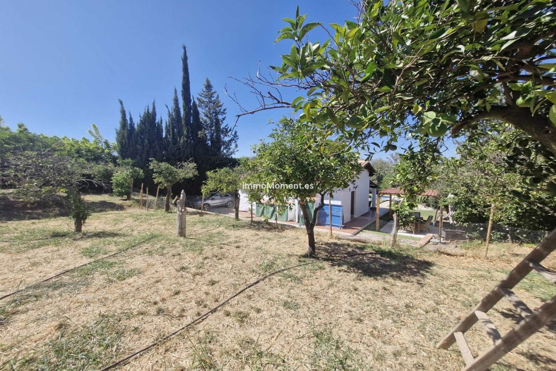 Revente - Maison de campagne - Intérieur                       - Coín