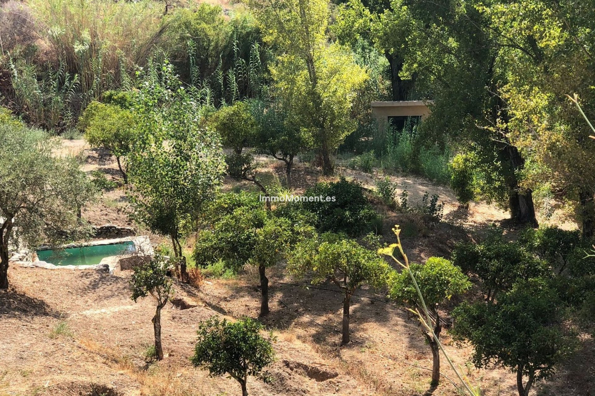 Revente - Maison de campagne - Intérieur                       - Guaro