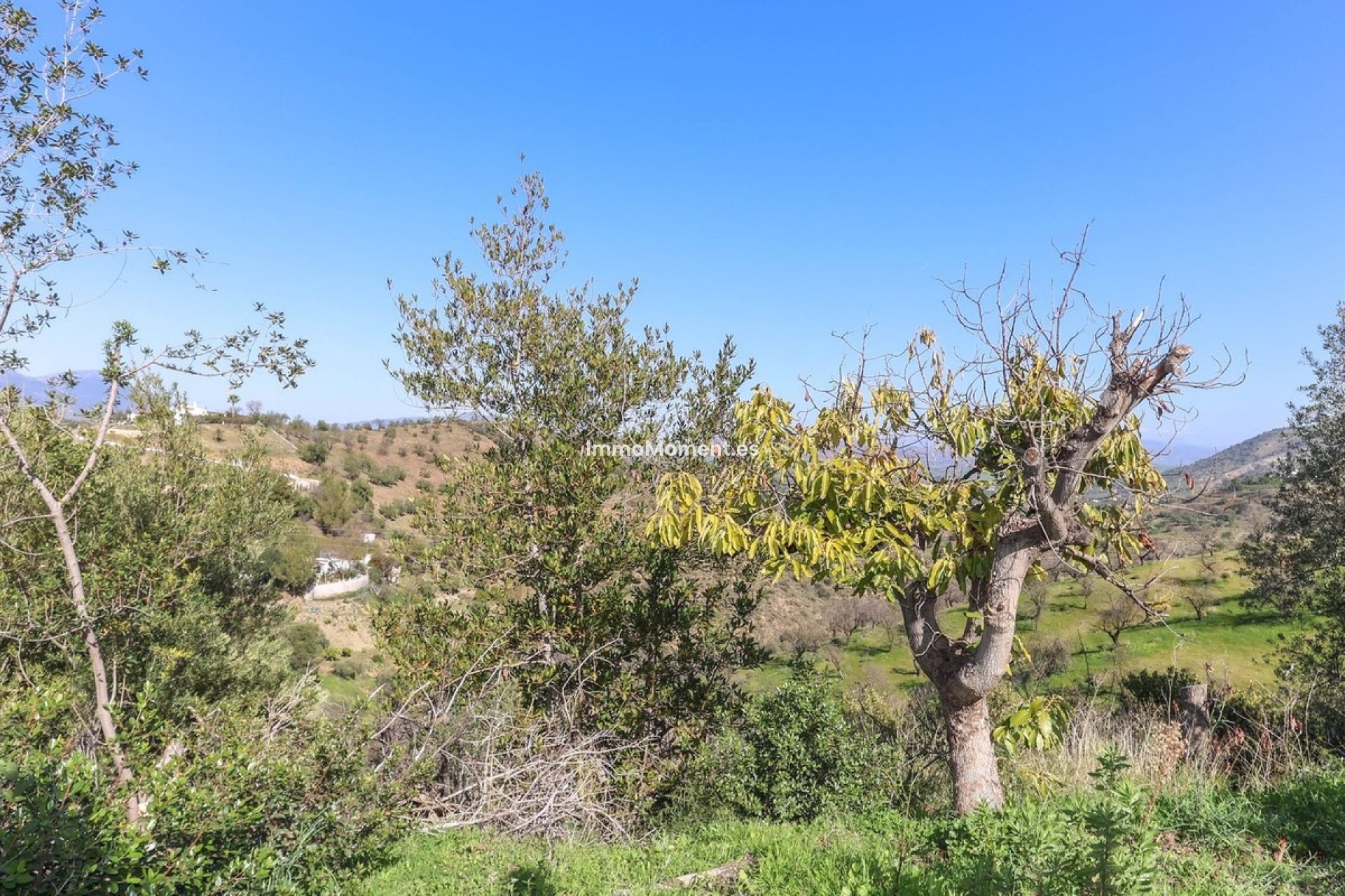 Revente - Maison de campagne - Intérieur                       - Guaro