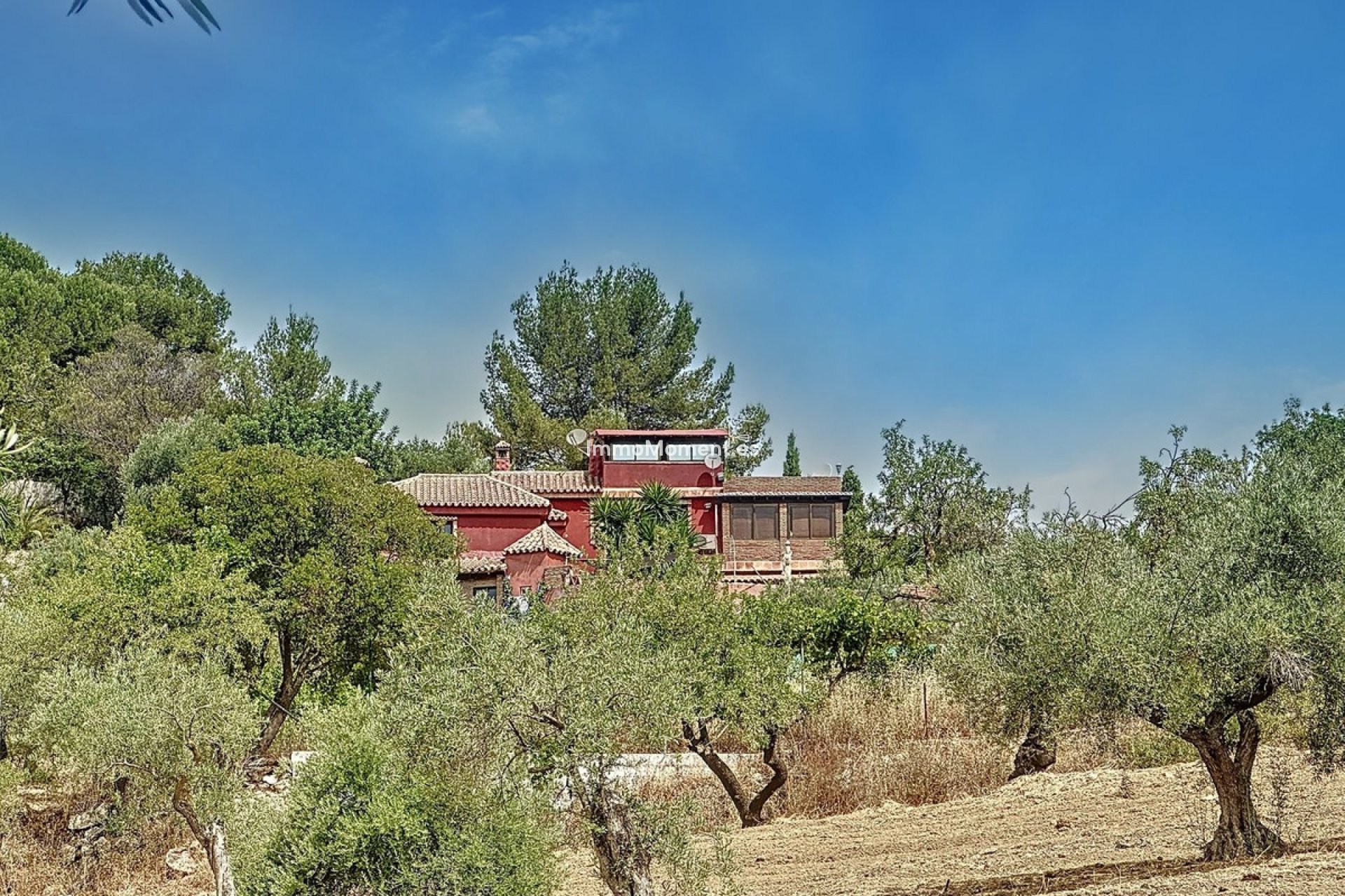 Revente - Maison de campagne - Intérieur                       - Monda