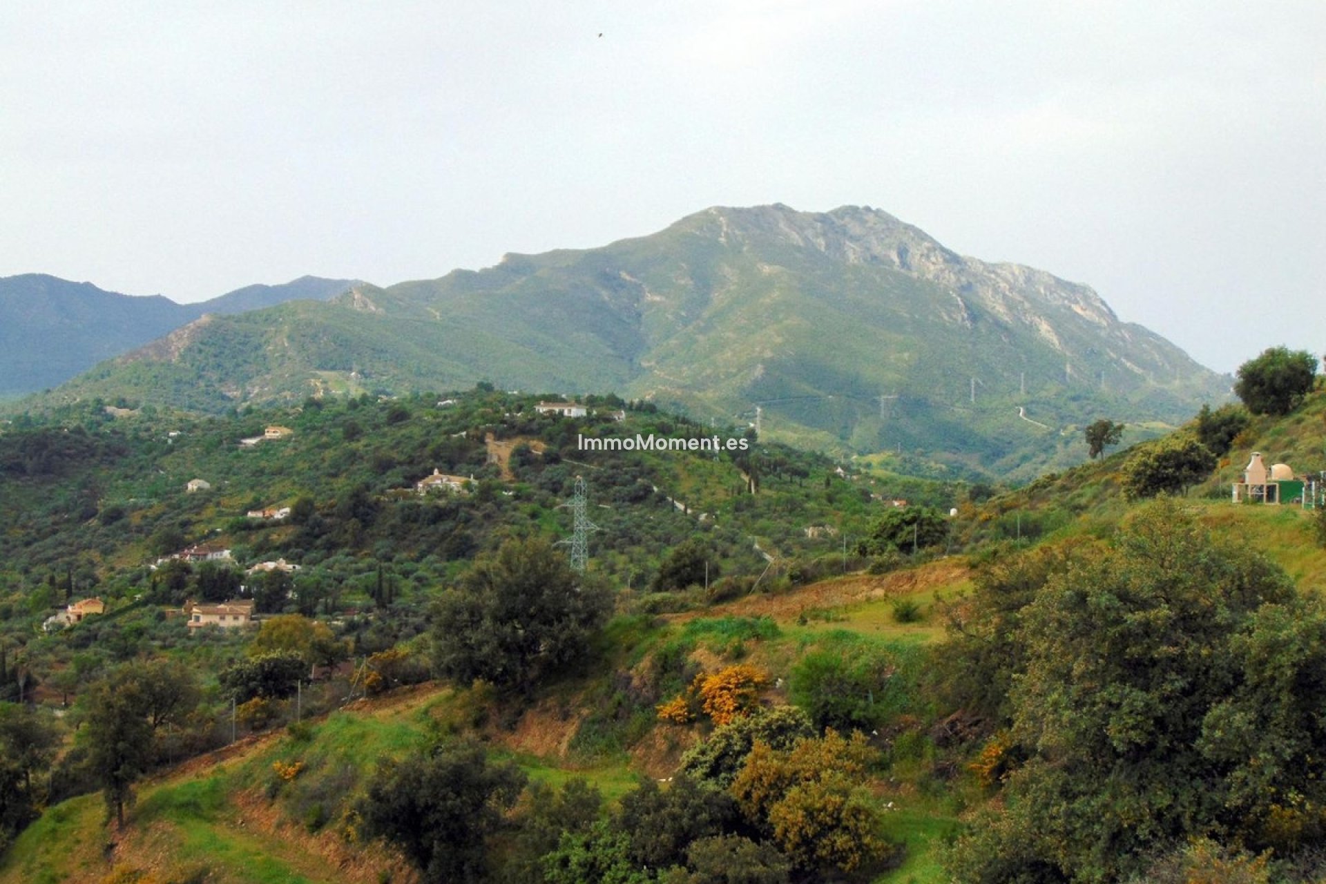 Revente - Maison de campagne - Intérieur                       - Monda