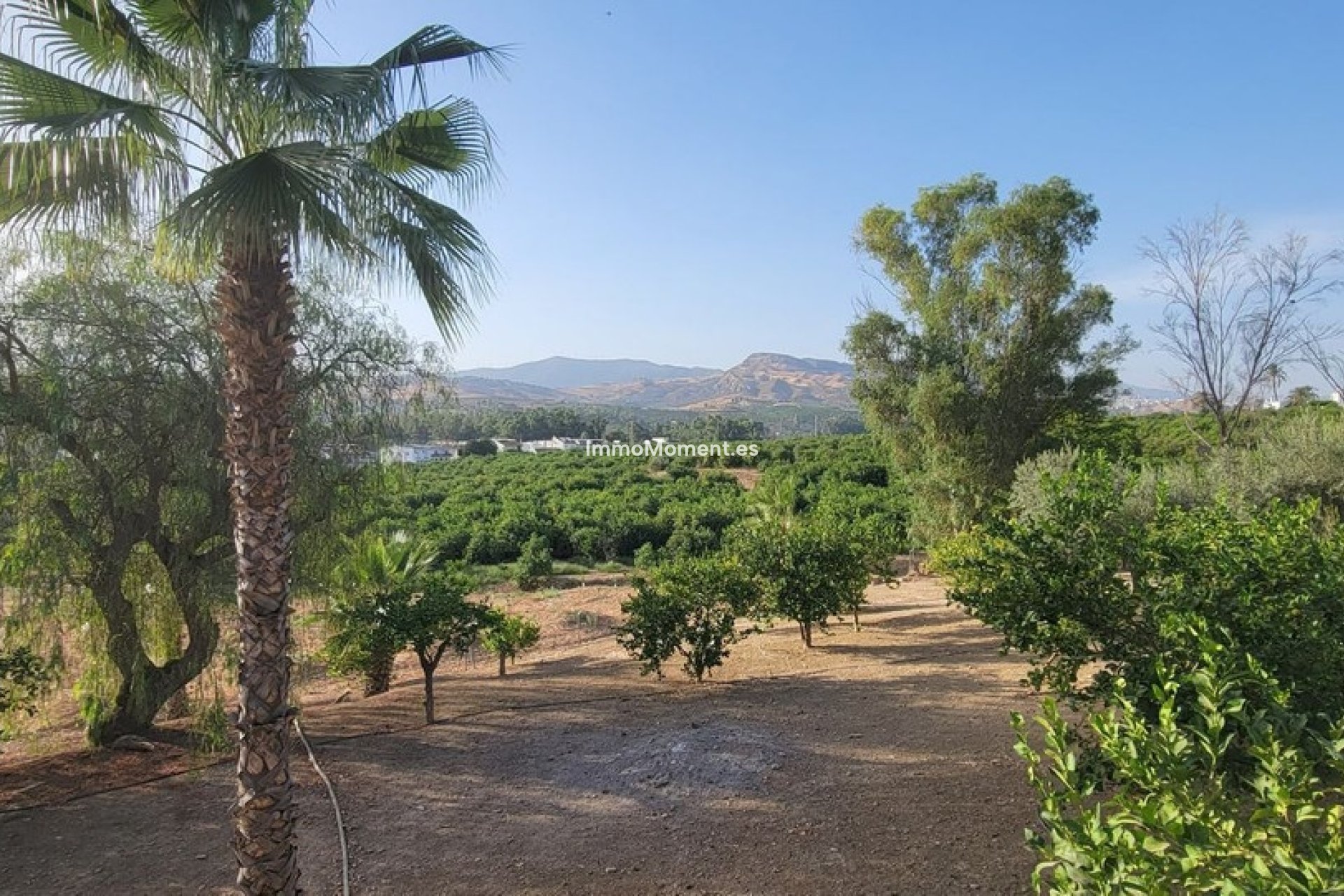 Revente - Maison de campagne - Intérieur                       - Pizarra