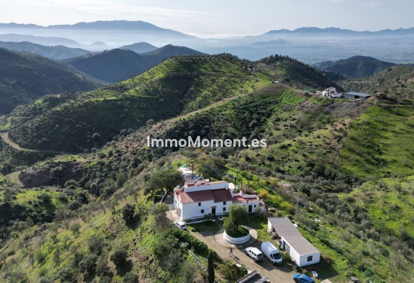 Revente - Maison de campagne - Intérieur                       - Pizarra