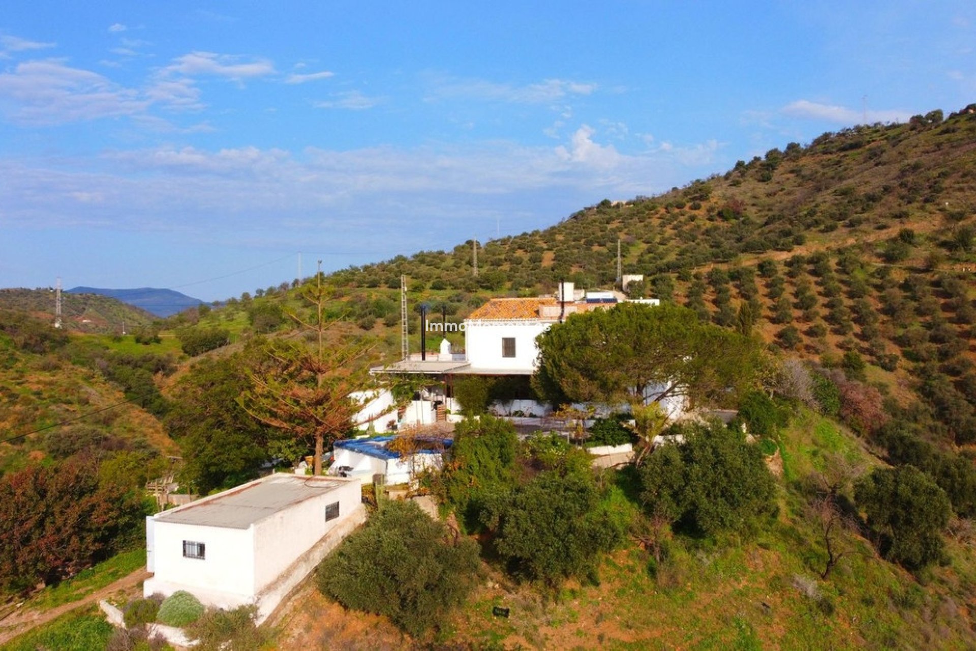 Revente - Maison de campagne - Intérieur                       - Pizarra