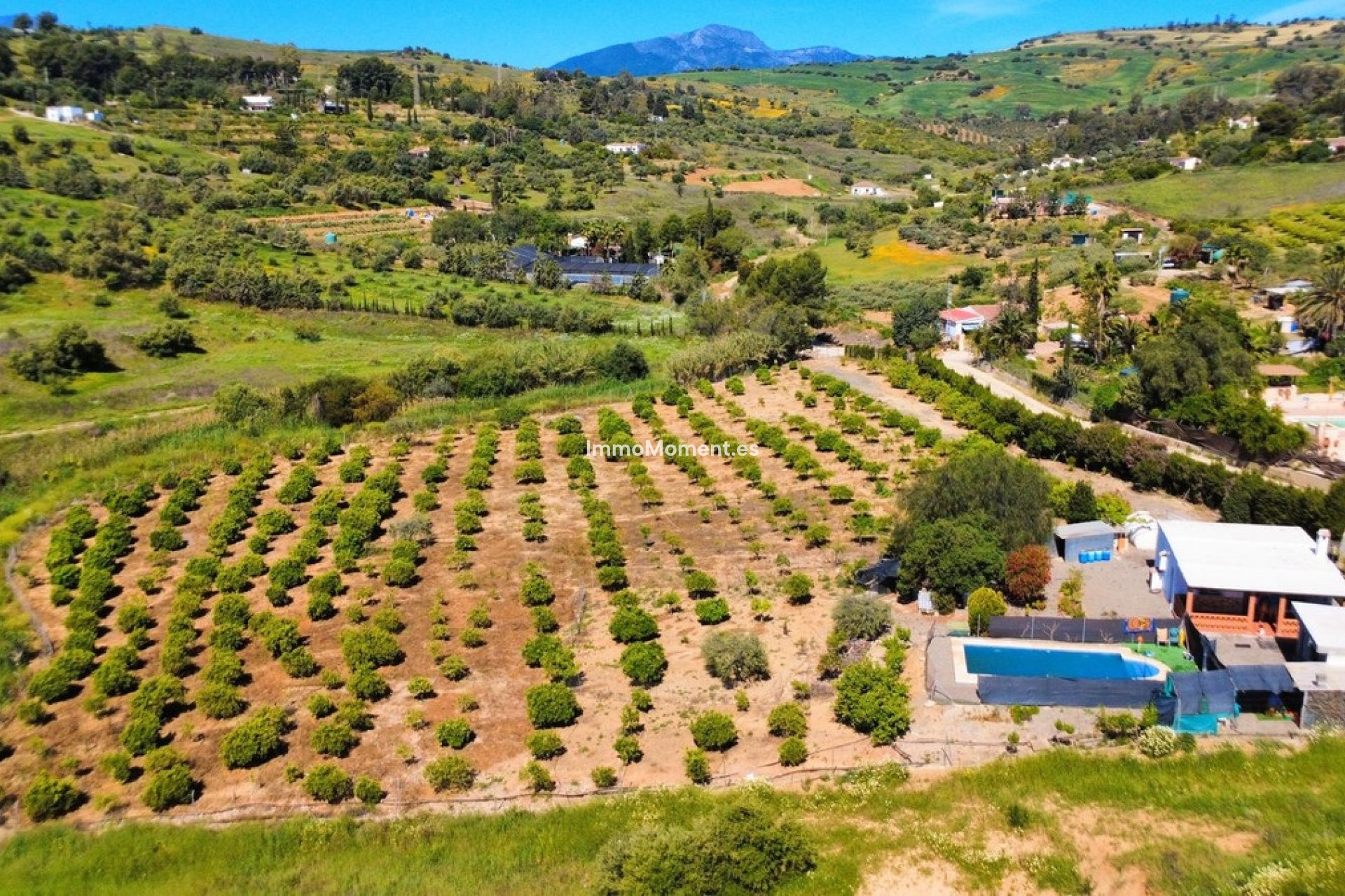 Revente - Maison de campagne - Intérieur                       - Pizarra