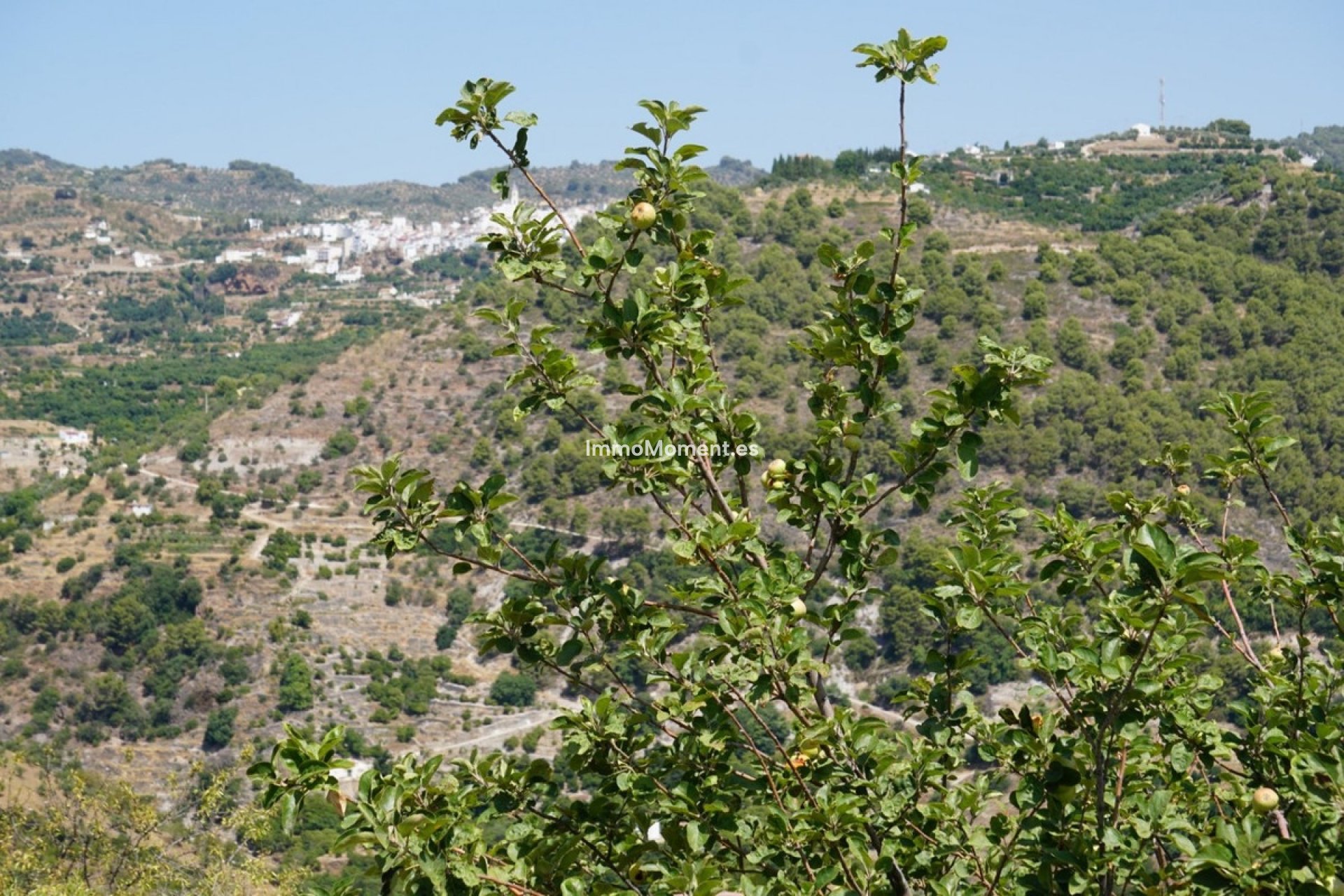 Revente - Maison de campagne - Intérieur                       - Yunquera