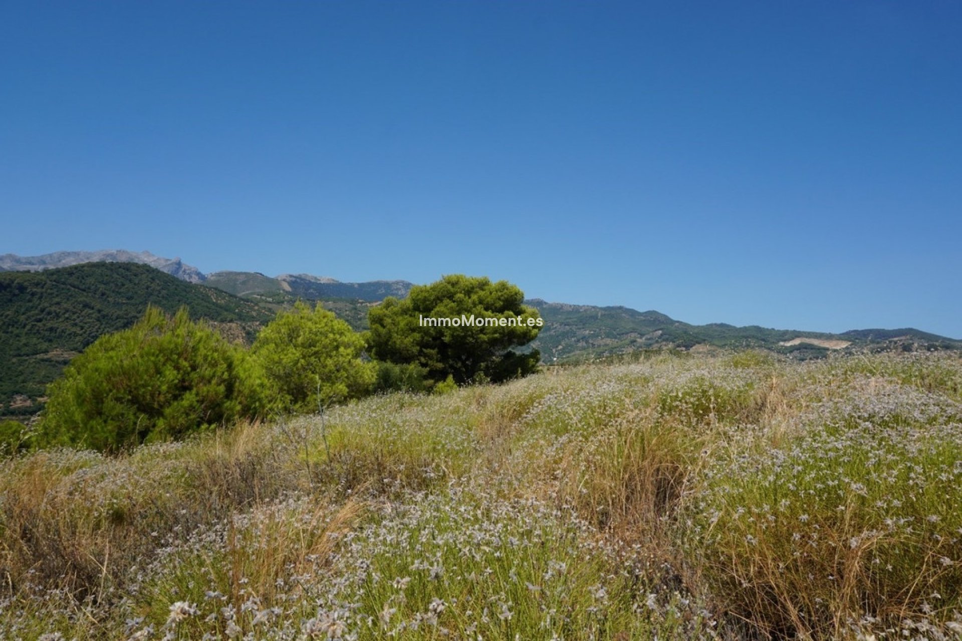 Revente - Maison de campagne - Intérieur                       - Yunquera