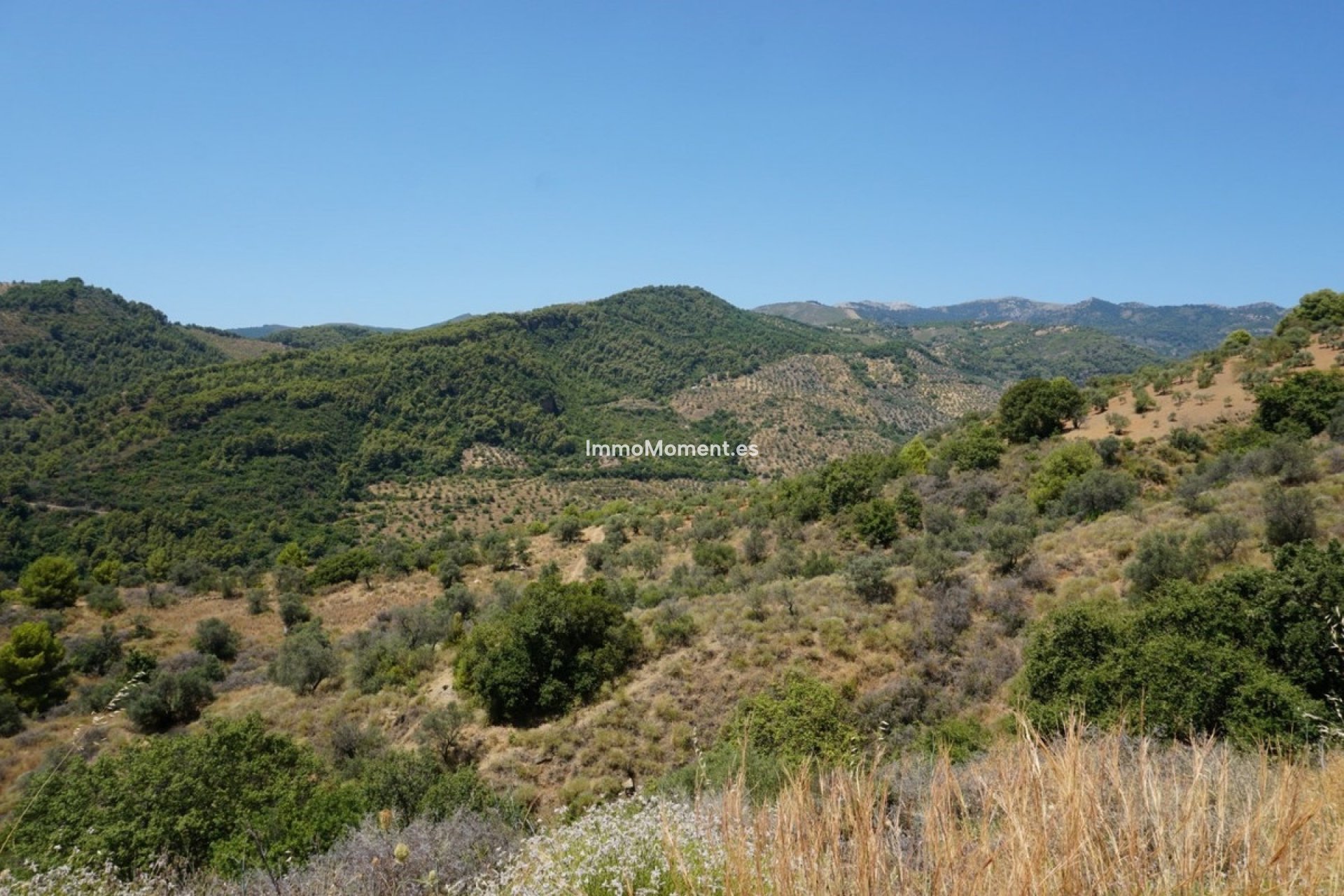Revente - Maison de campagne - Intérieur                       - Yunquera
