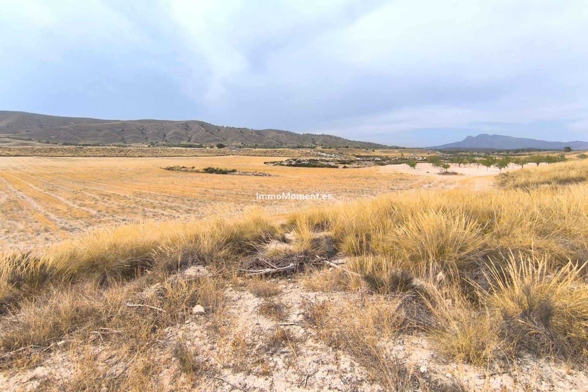 Revente - Maison de campagne - Jumilla - Jumilla Centro