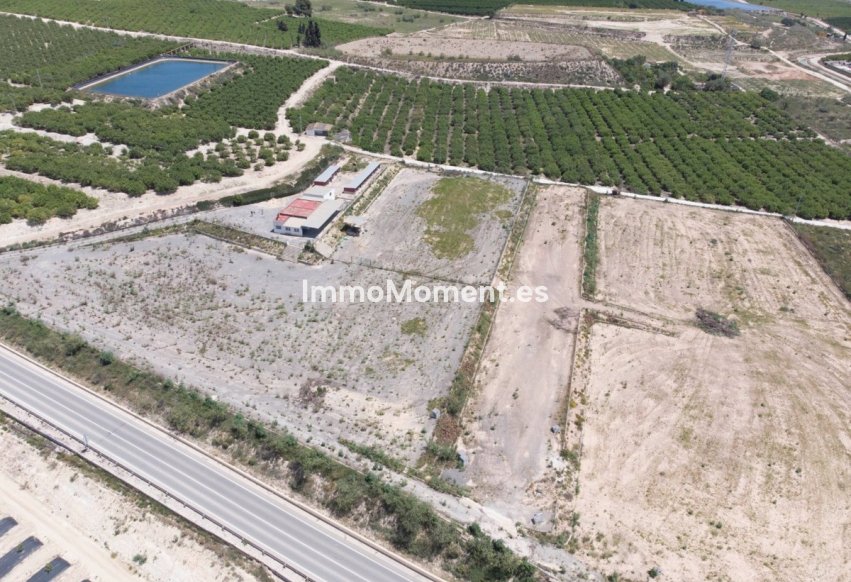 Revente - Maison de campagne - Los Montesinos - Los Montesinos Centro