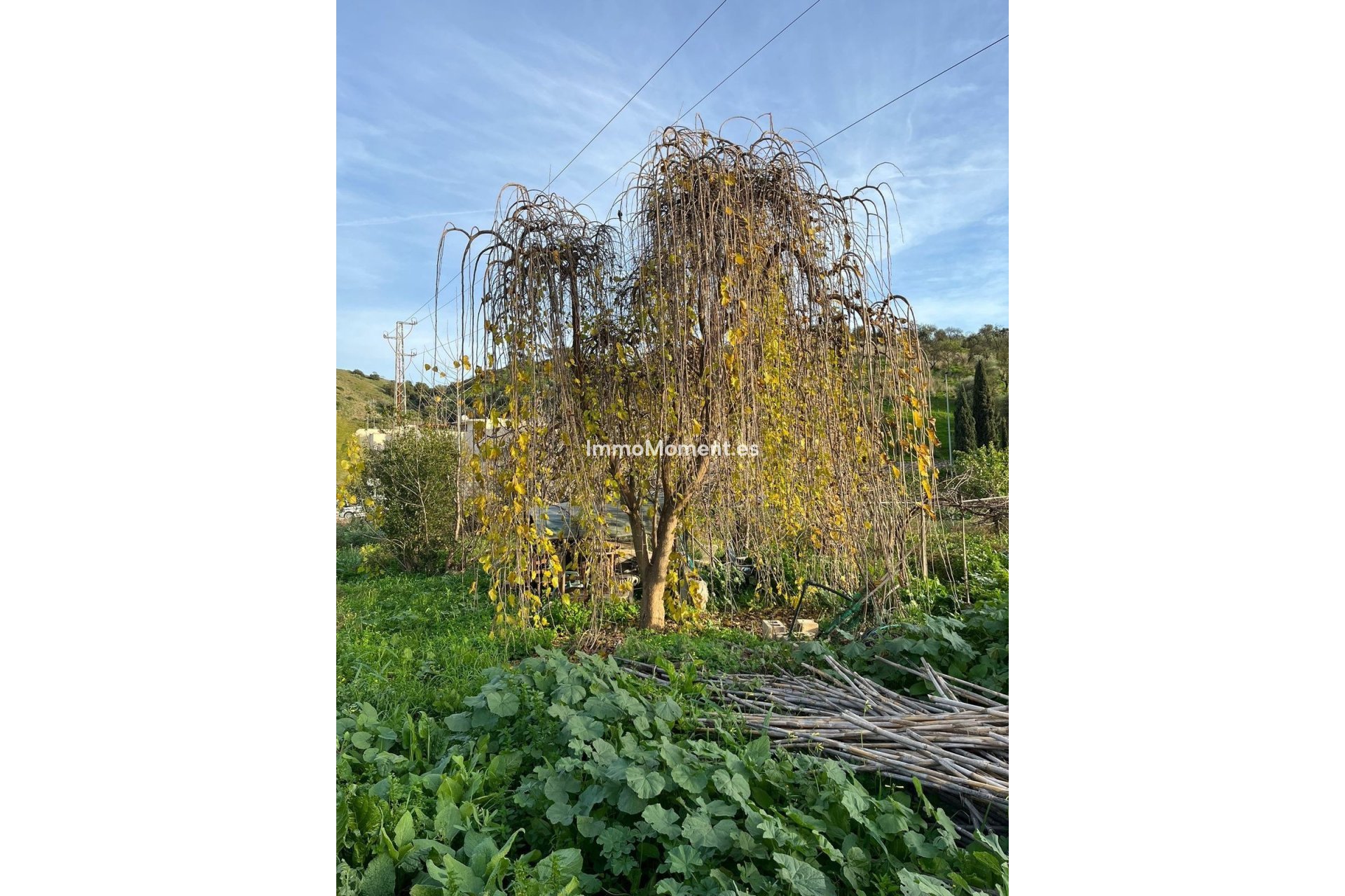 Revente - Maison de campagne - Málaga - Campanillas