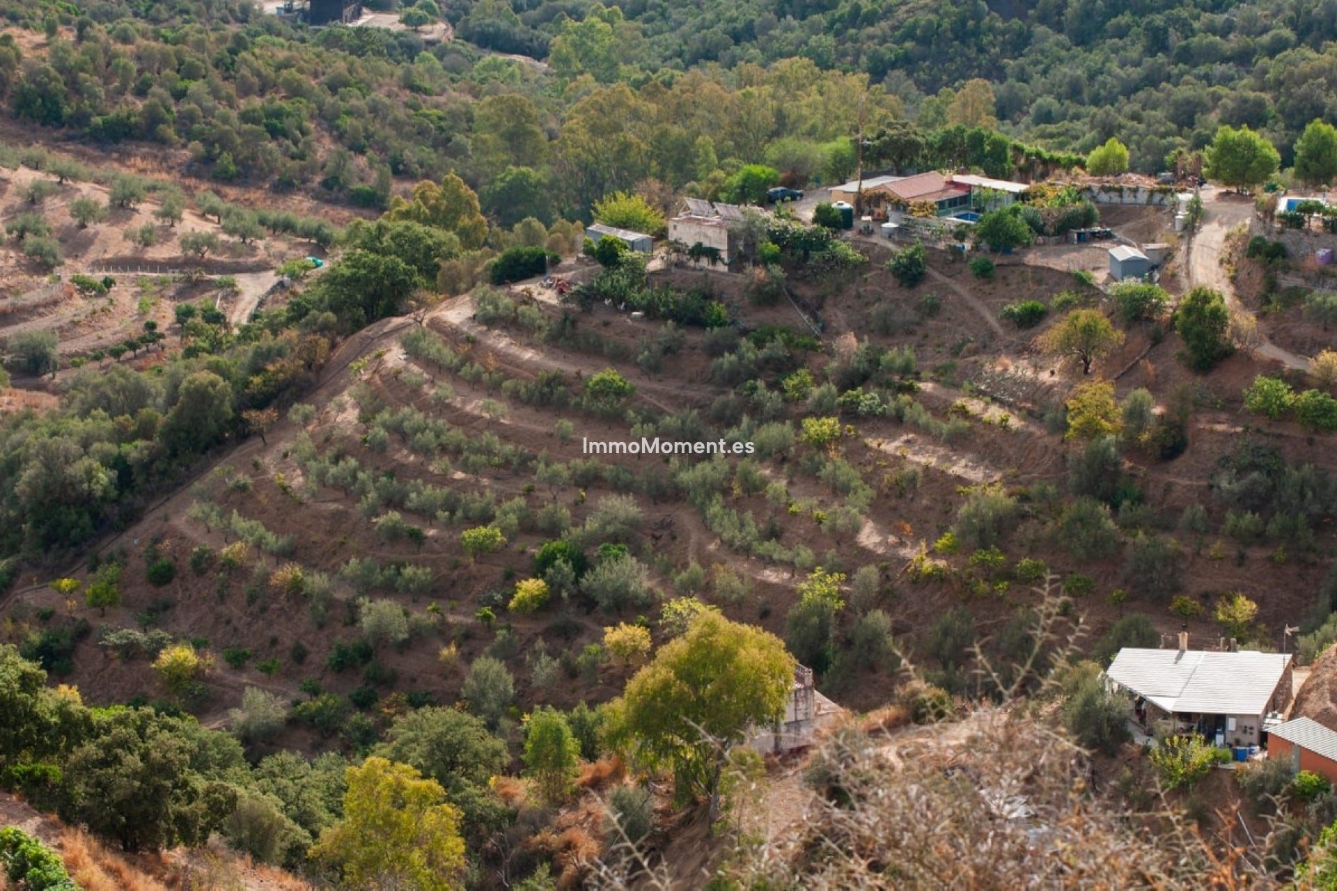 Revente - Maison de campagne - Marbella - Altos de los Monteros
