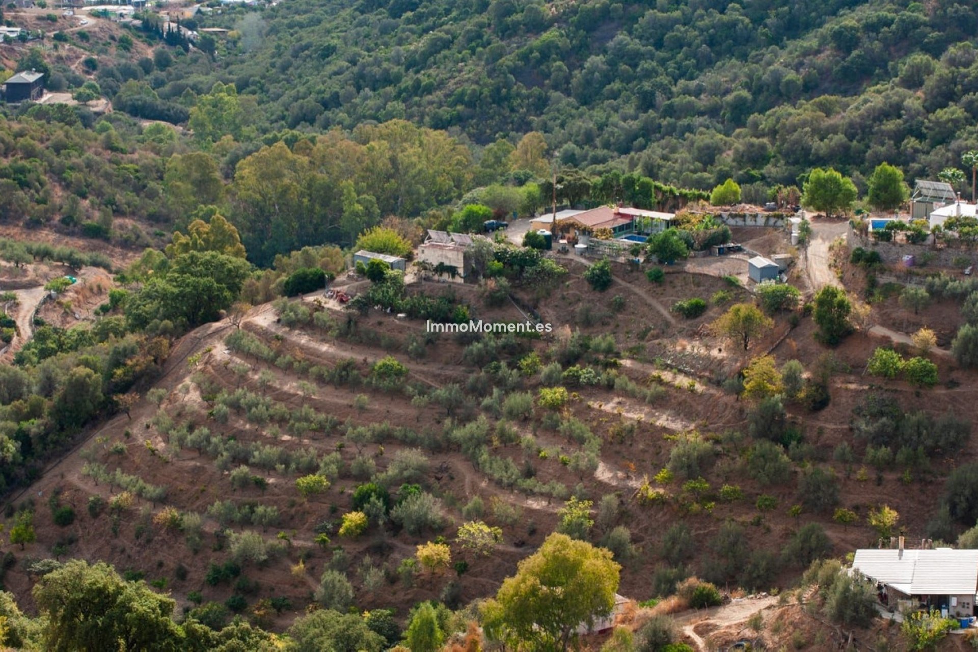 Revente - Maison de campagne - Marbella - Altos de los Monteros