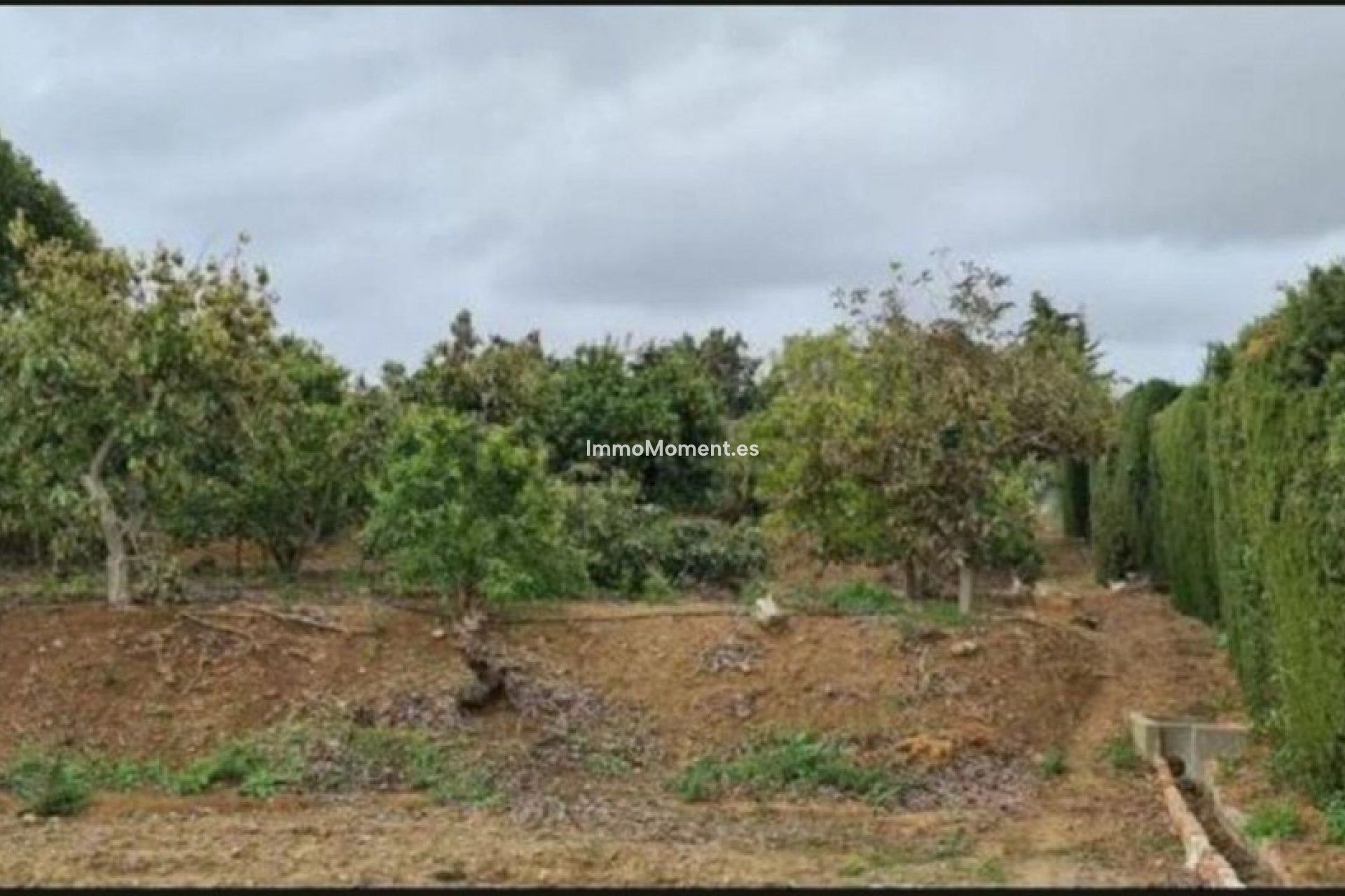 Revente - Maison de campagne - Mijas - Campo Mijas