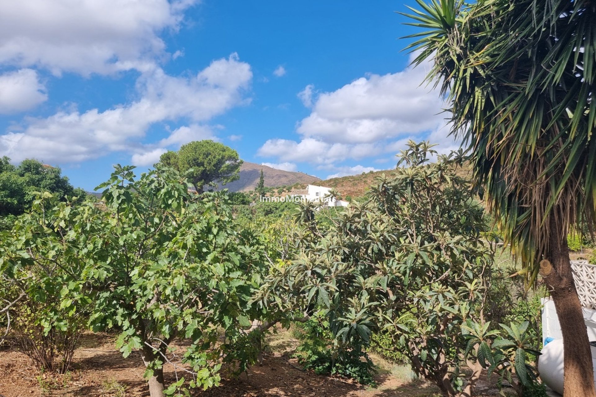 Revente - Maison de campagne - Mijas - Entrerrios