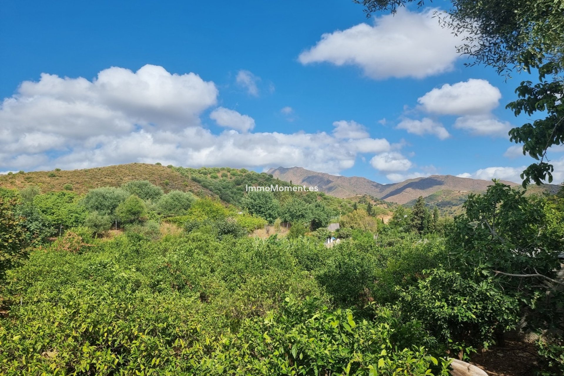 Revente - Maison de campagne - Mijas - Entrerrios