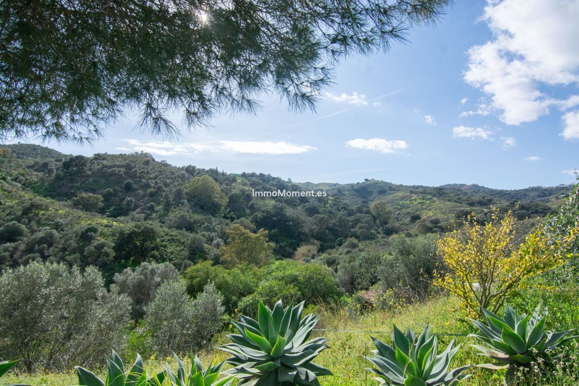 Revente - Maison de campagne - Mijas - La Cala Golf