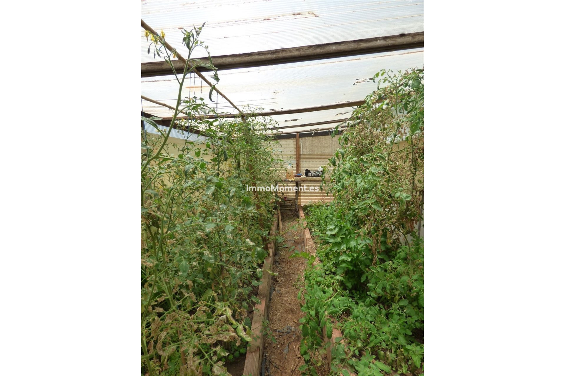 Revente - Maison de campagne - Mijas - Mijas Costa