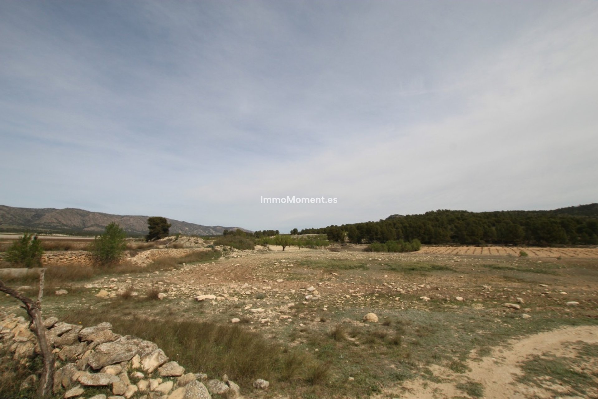 Revente - Maison de campagne - Monóvar - Monòver - Monóvar - Monòver Centro