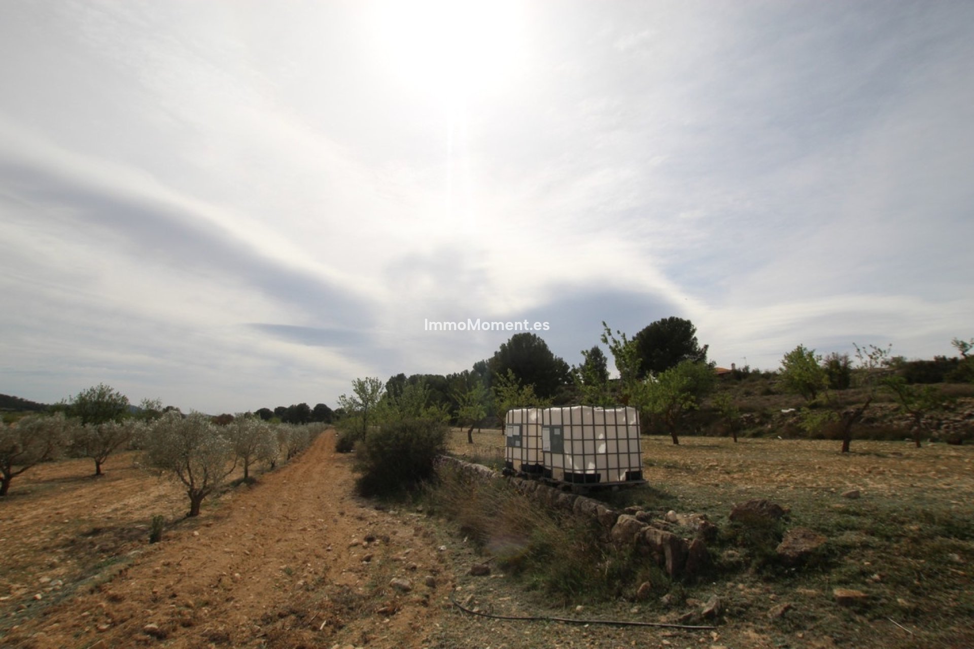 Revente - Maison de campagne - Monóvar - Monòver - Monóvar - Monòver Centro
