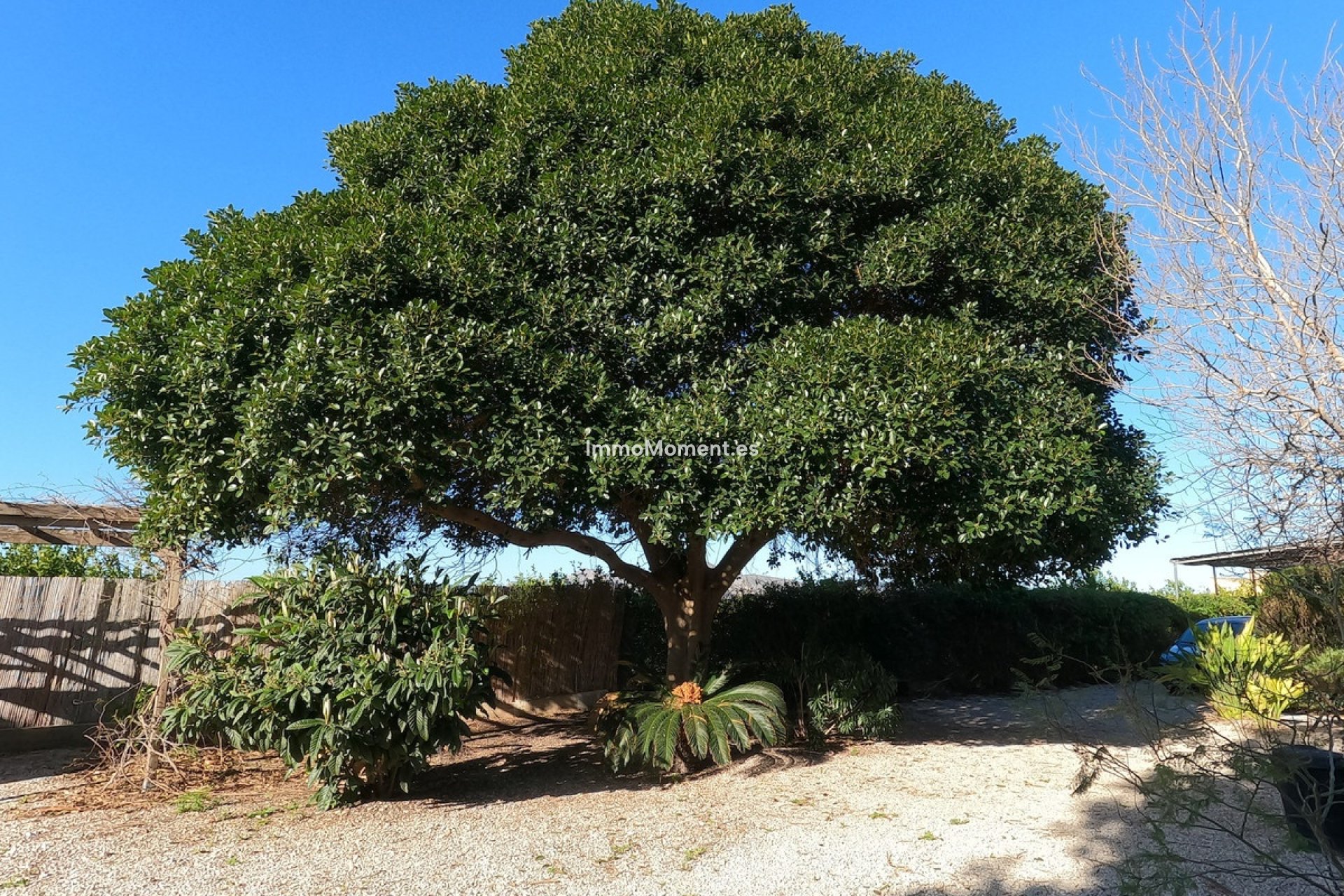 Revente - Maison de campagne - Orihuela - Orihuela Centro