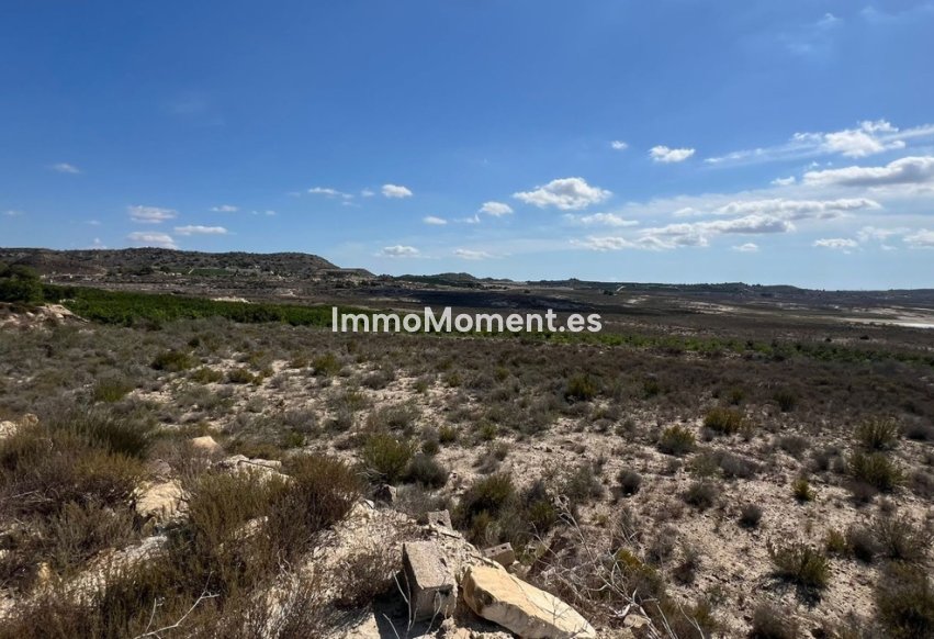 Revente - Maison de campagne - Orihuela - Torremendo