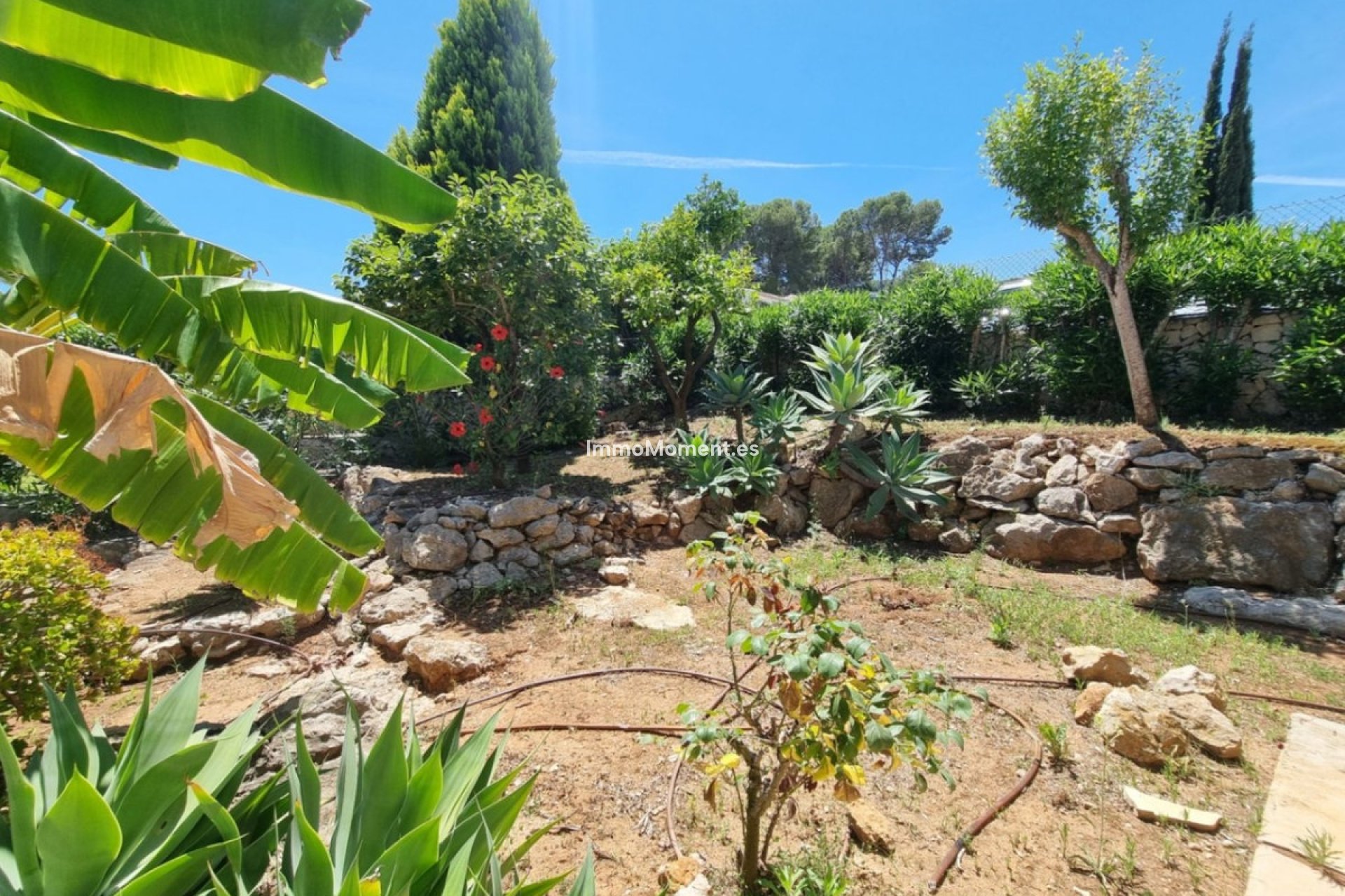 Revente - Maison de campagne - Pedreguer - Pedreguer Centro