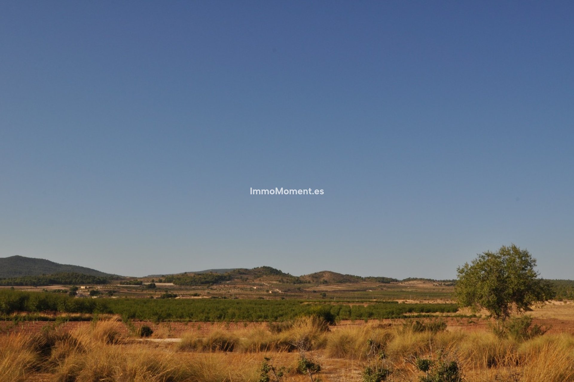 Revente - Maison de campagne - Pinoso - Pinoso Centro
