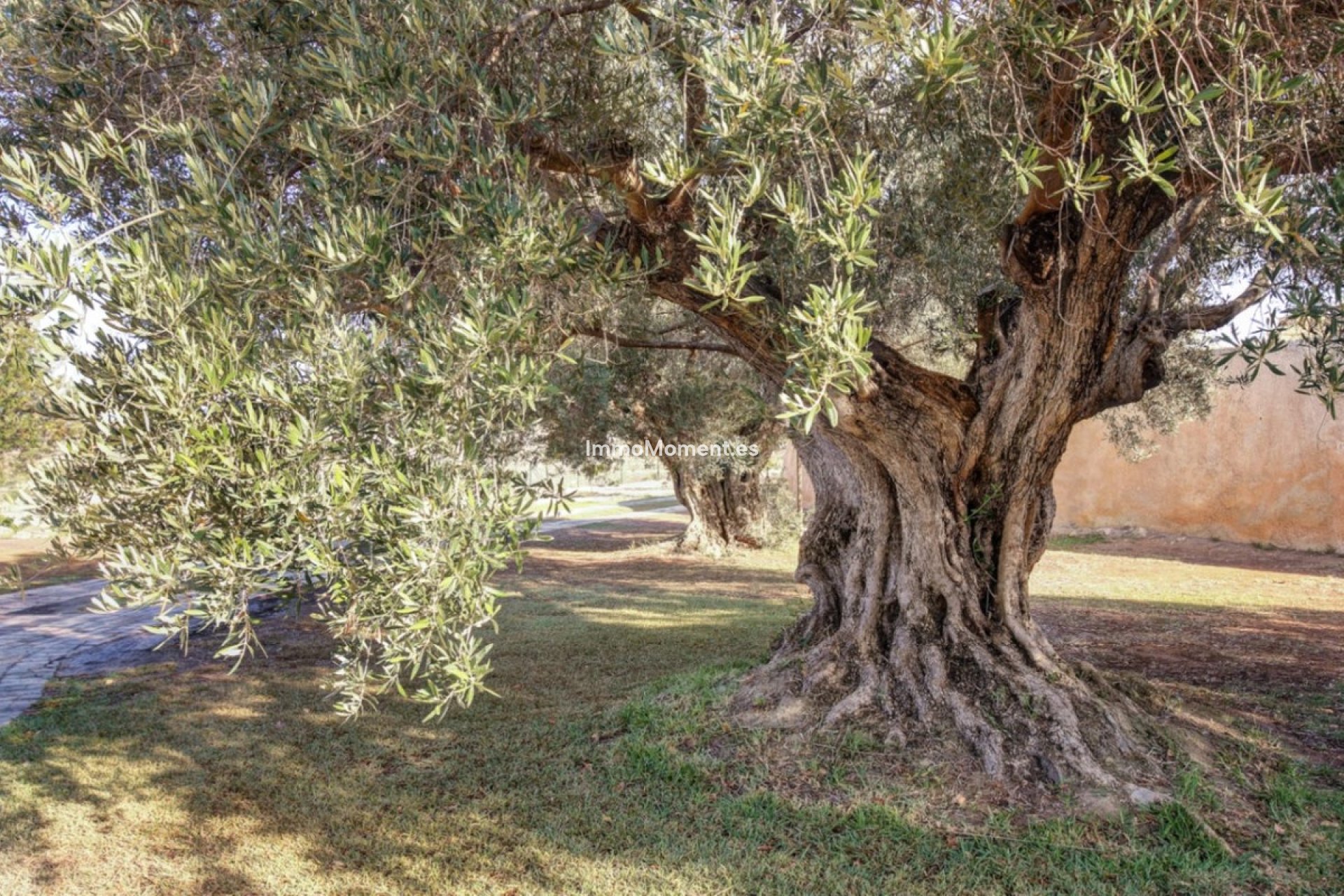 Revente - Maison de campagne - Teulada - Moraira